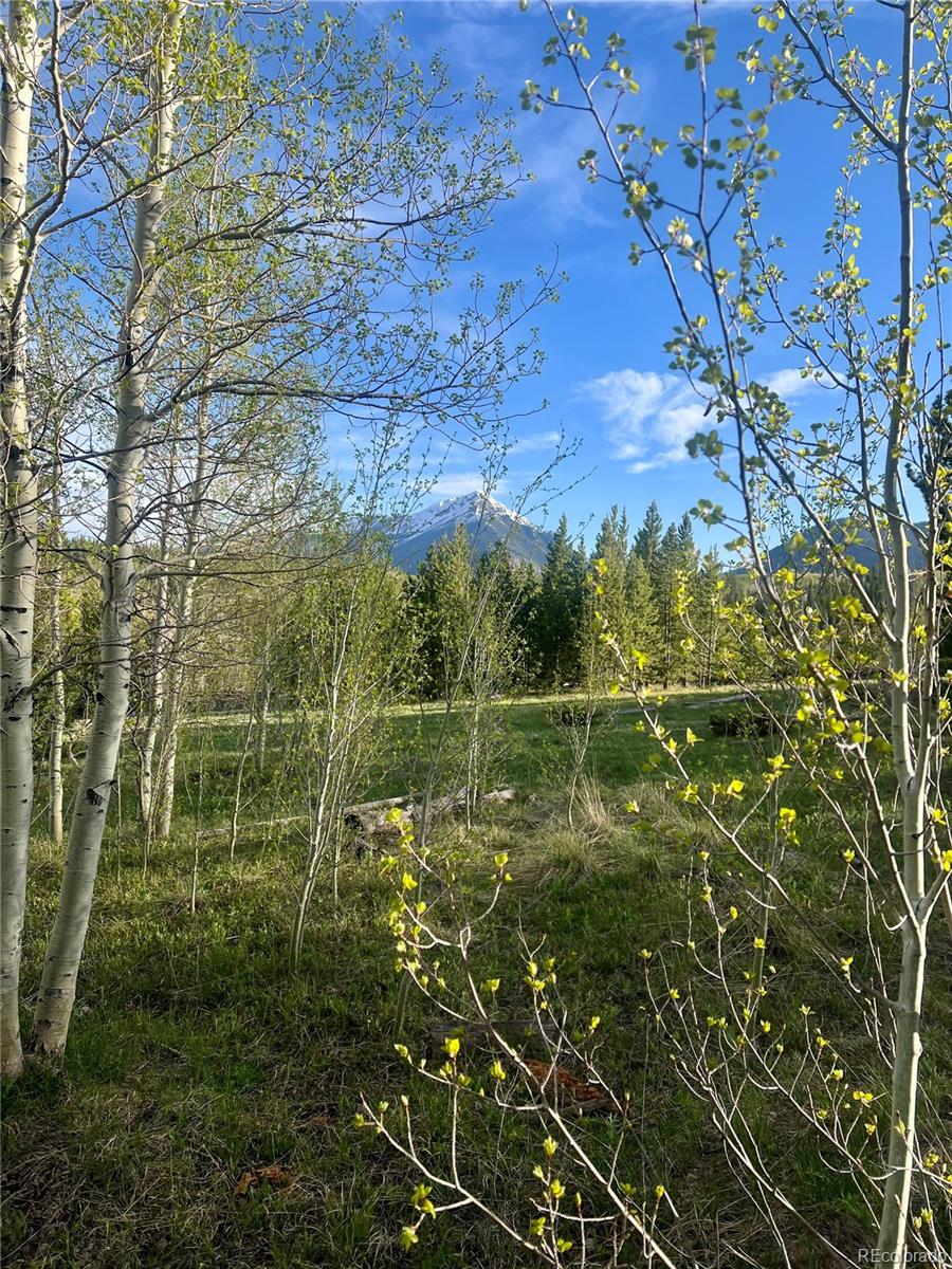 MLS Image #35 for 95600  ryan gulch road,silverthorne, Colorado