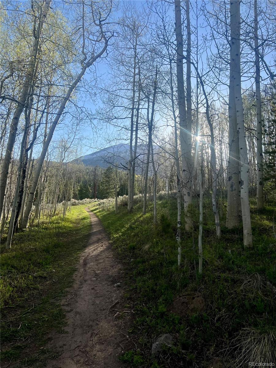 MLS Image #36 for 95600  ryan gulch road,silverthorne, Colorado