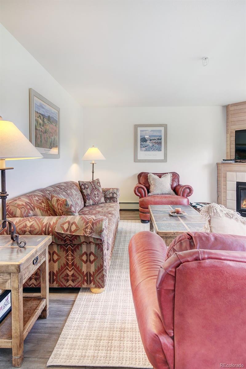 MLS Image #6 for 95600  ryan gulch road,silverthorne, Colorado