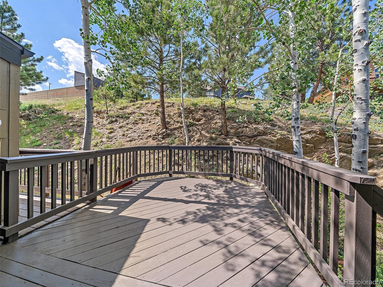 MLS Image #19 for 30571  sun creek drive,evergreen, Colorado