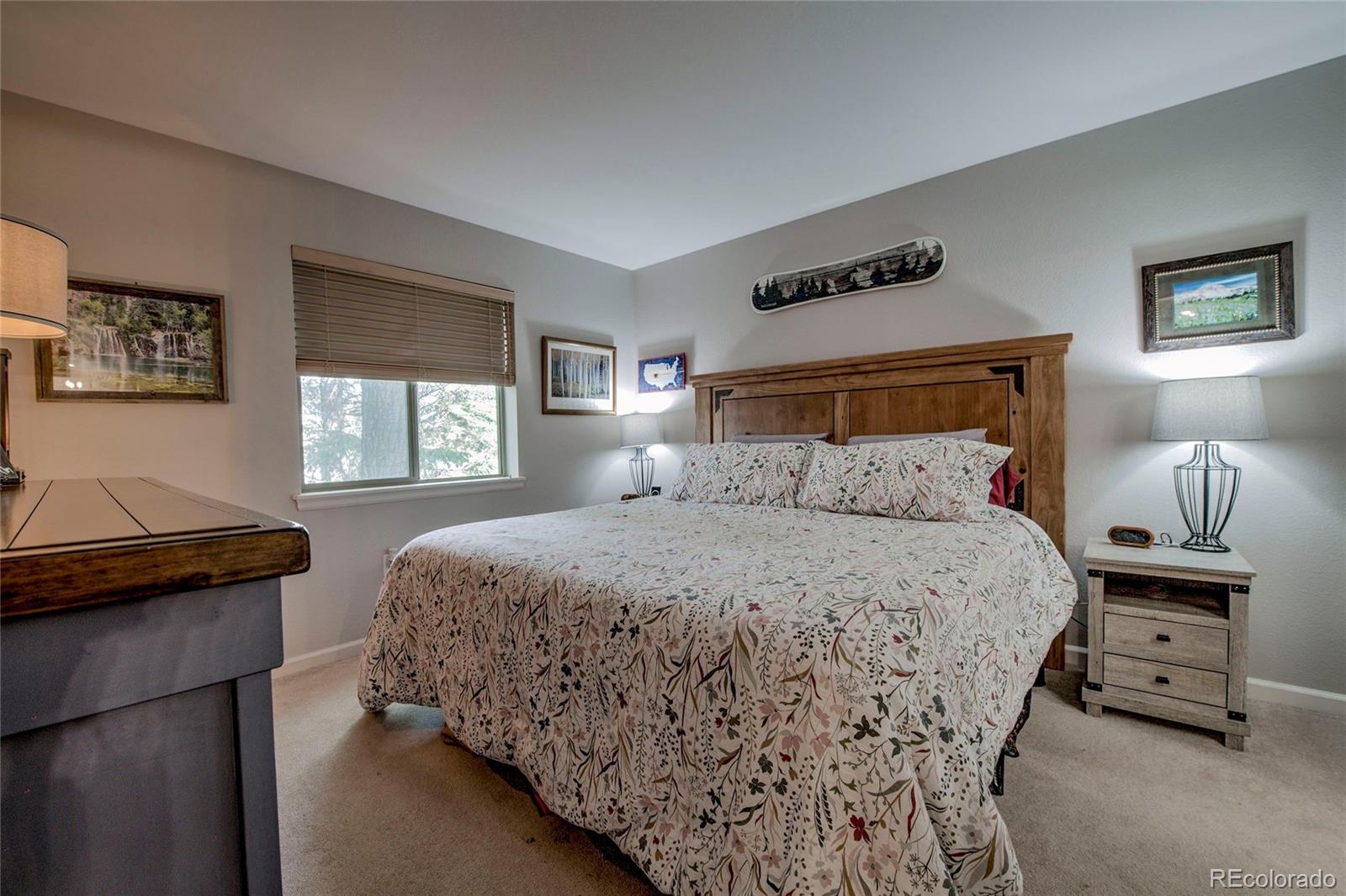 MLS Image #15 for 1509  point drive,frisco, Colorado