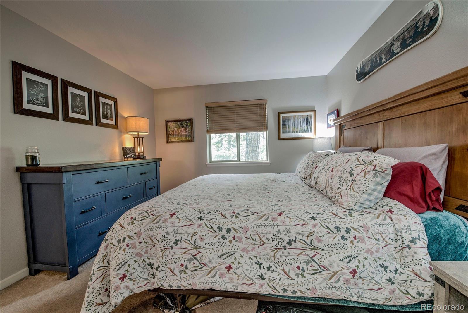 MLS Image #16 for 1509  point drive,frisco, Colorado