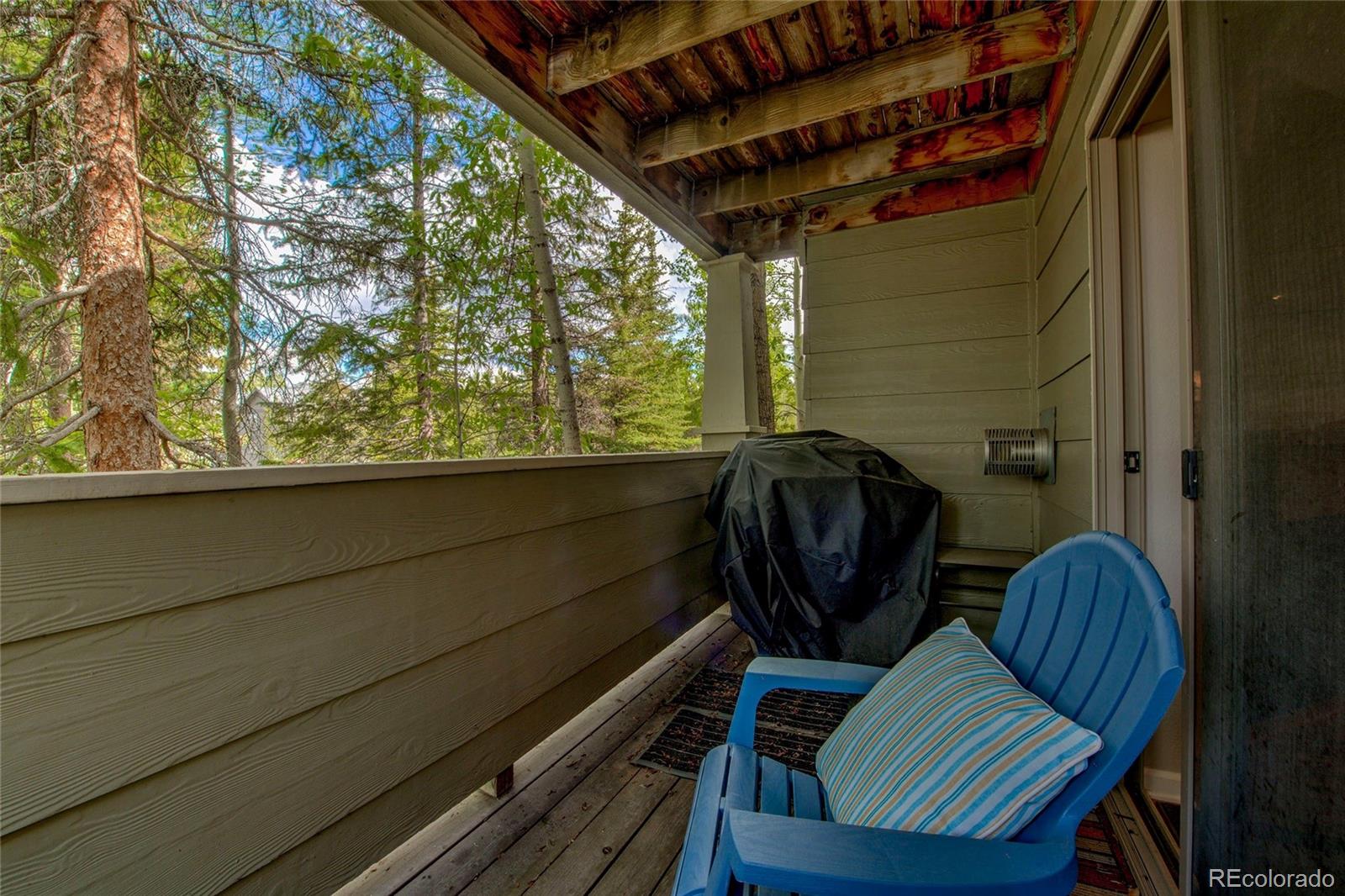 MLS Image #26 for 1509  point drive,frisco, Colorado