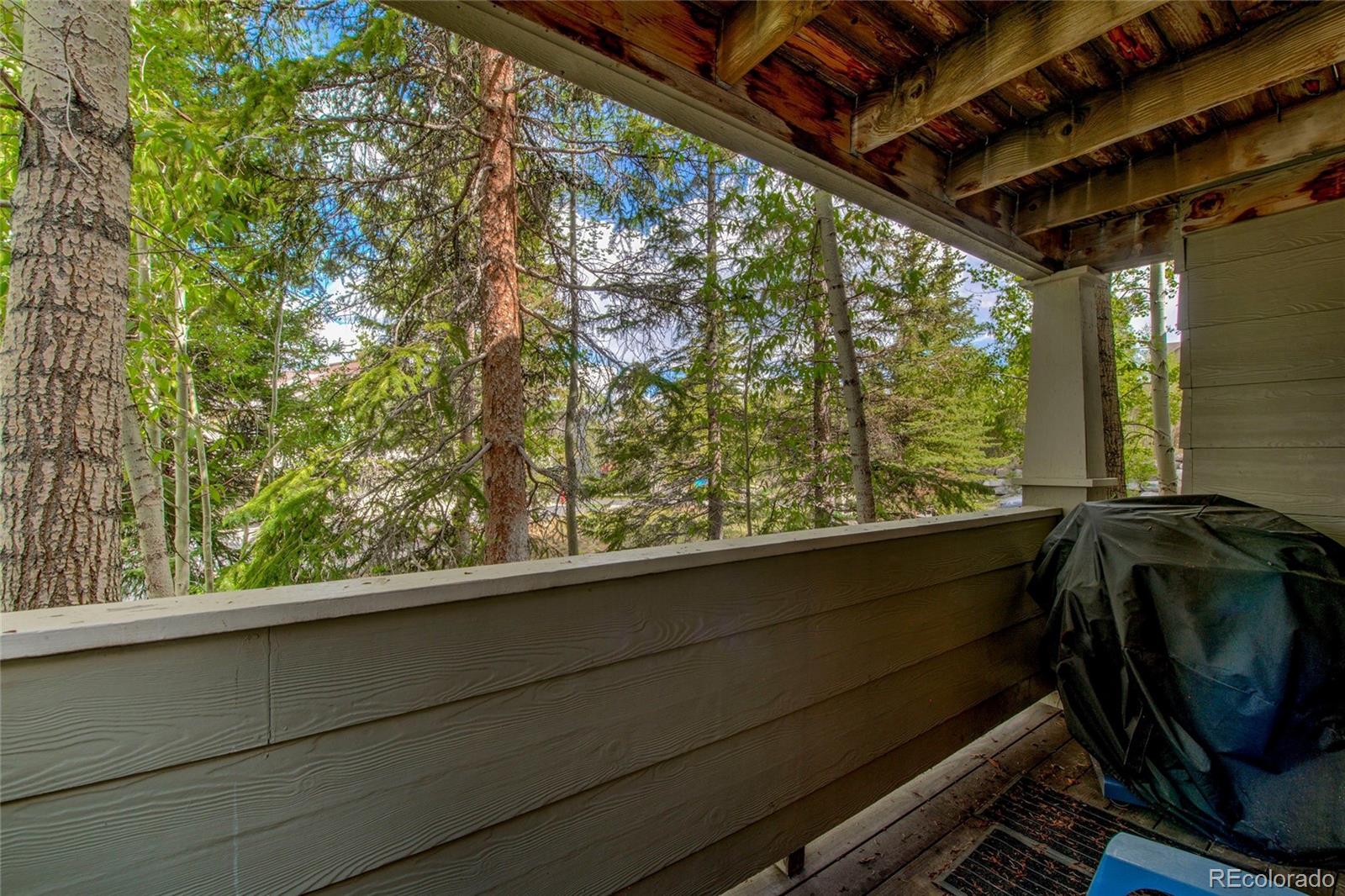 MLS Image #29 for 1509  point drive,frisco, Colorado