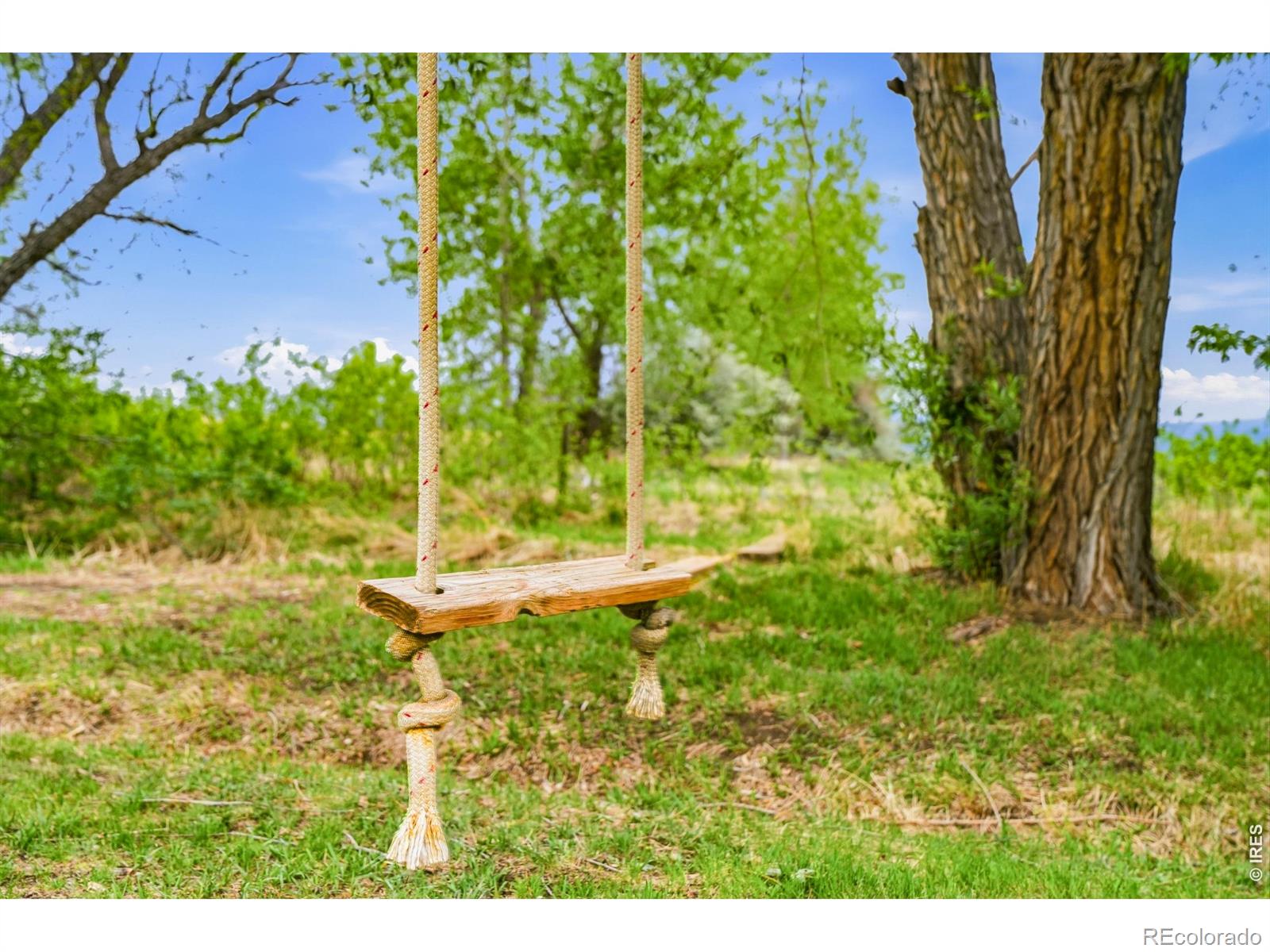 MLS Image #36 for 871  bluebird lane,lafayette, Colorado