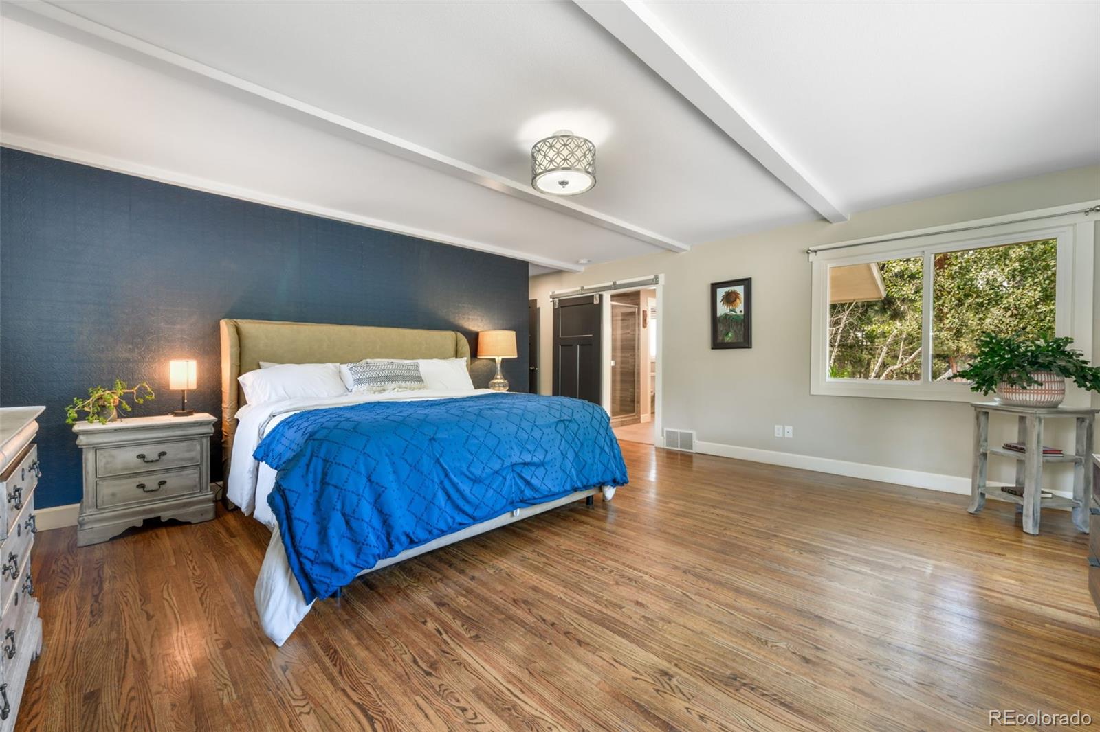 MLS Image #18 for 435  wolverine way,monument, Colorado