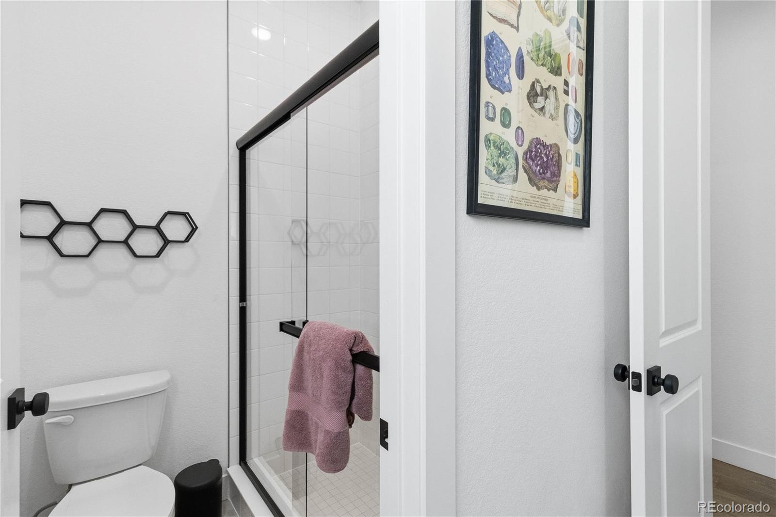 MLS Image #33 for 8505  big thompson street,littleton, Colorado