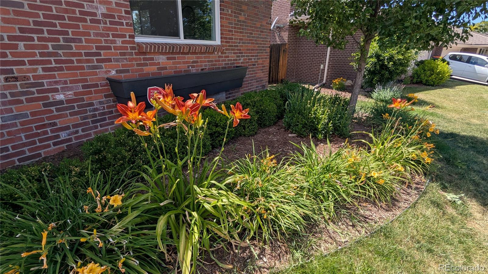 MLS Image #5 for 4645 s akron street,greenwood village, Colorado