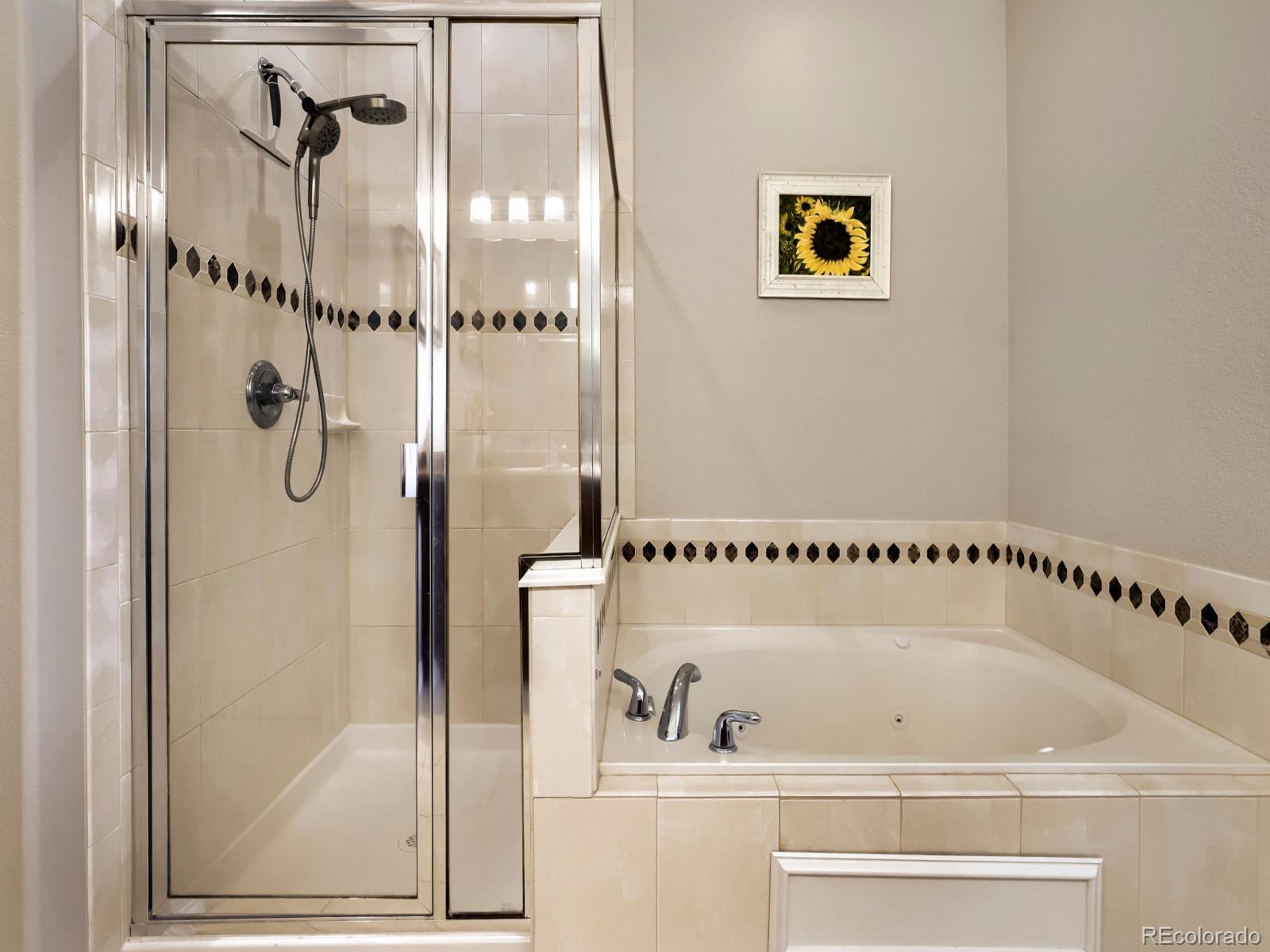 MLS Image #15 for 10134  bluffmont lane ,lone tree, Colorado