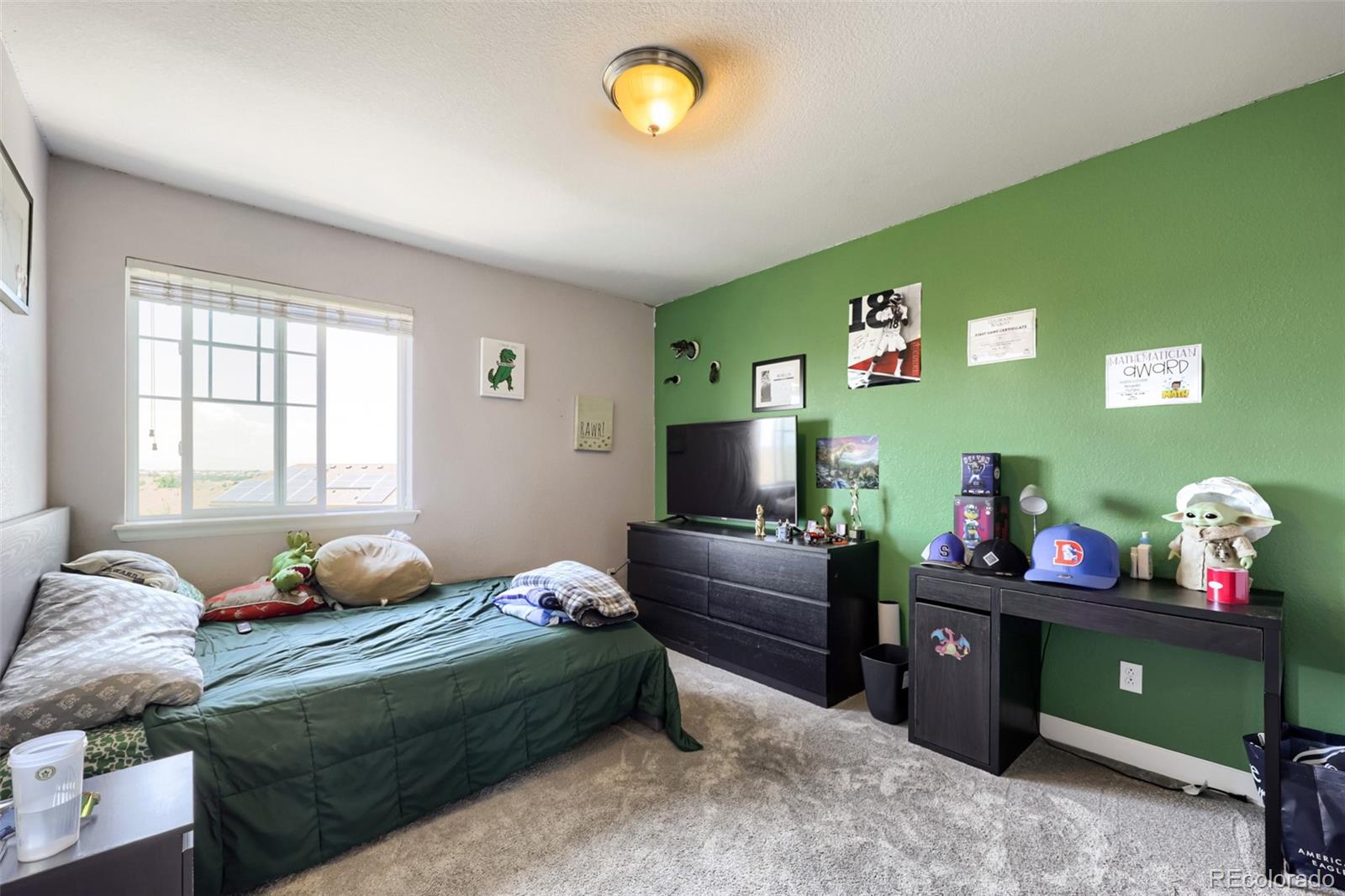 MLS Image #19 for 4949 s valdai way,aurora, Colorado
