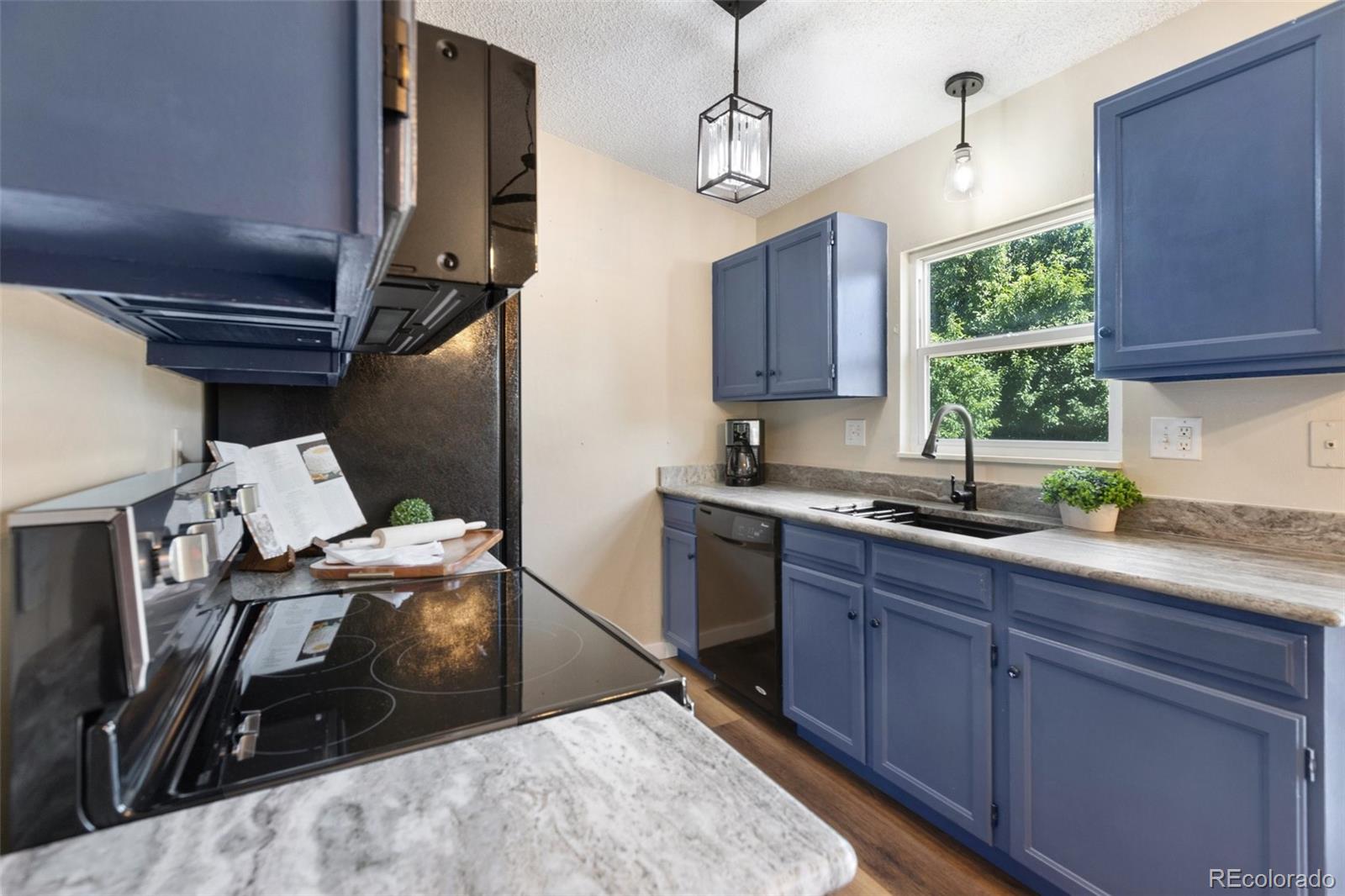 MLS Image #11 for 5755  trout creek pass drive,colorado springs, Colorado