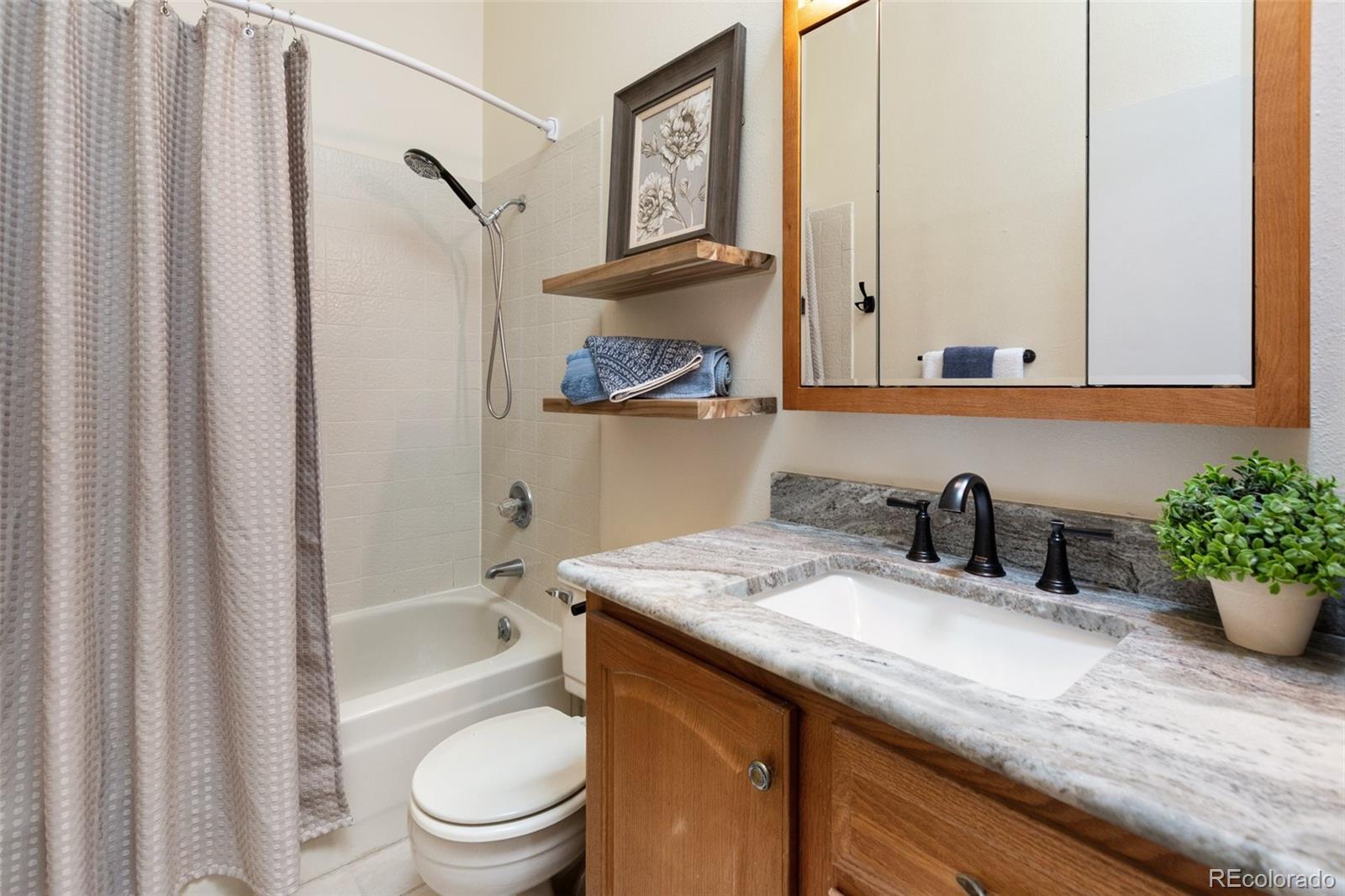 MLS Image #17 for 5755  trout creek pass drive,colorado springs, Colorado