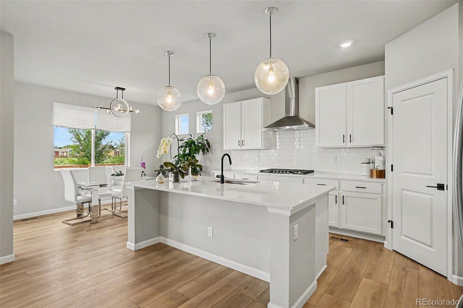 MLS Image #9 for 2941 s flat circle,longmont, Colorado