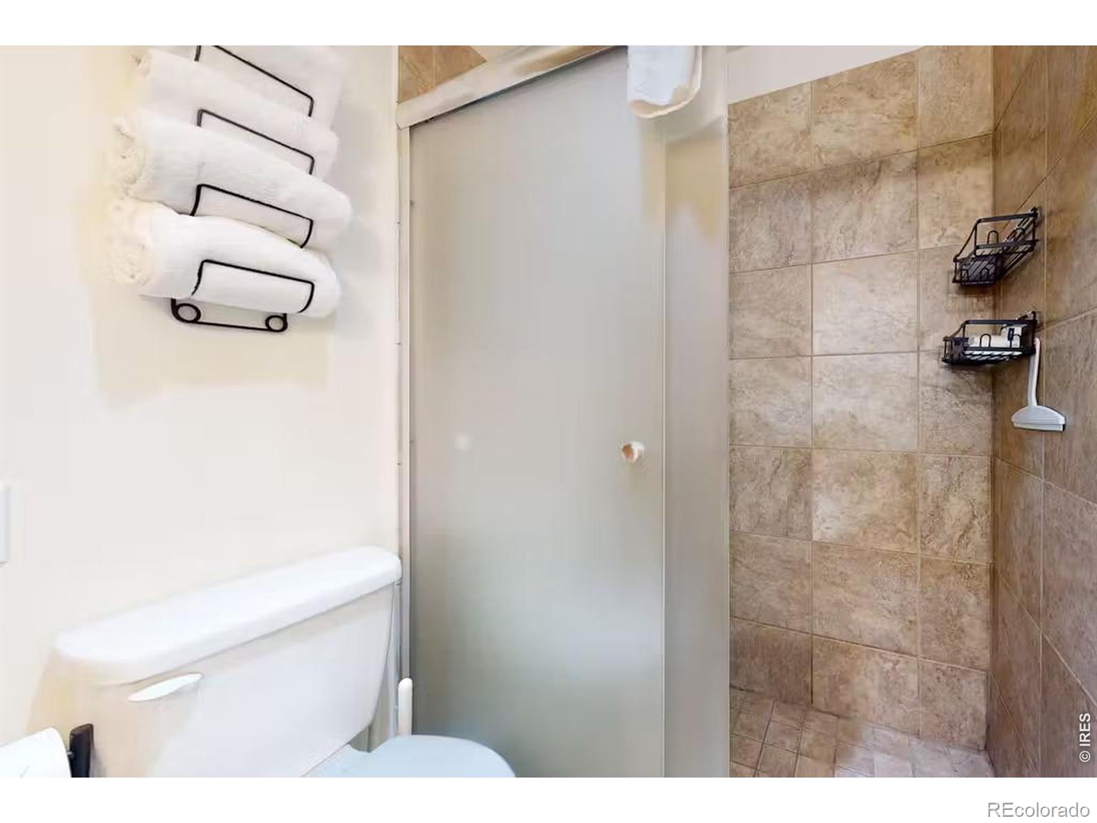 MLS Image #14 for 56  uneva place,frisco, Colorado