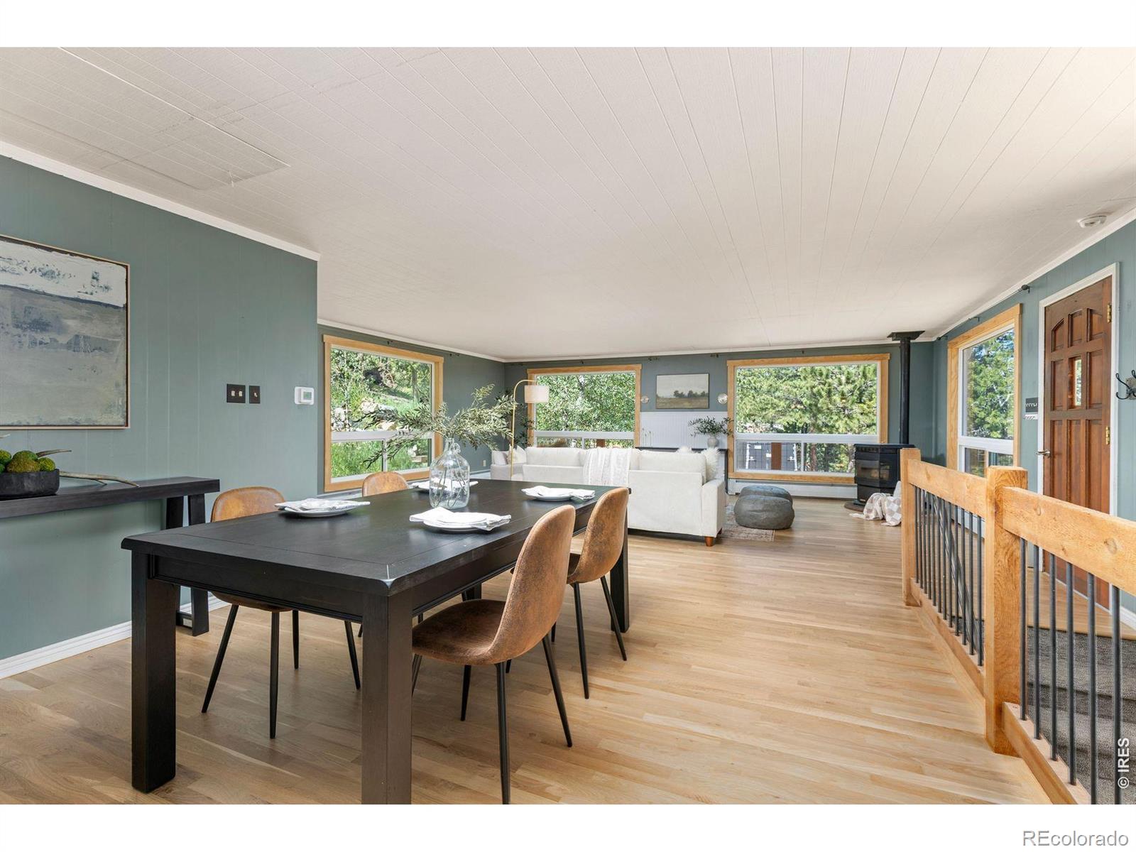MLS Image #10 for 38 e pine street,nederland, Colorado