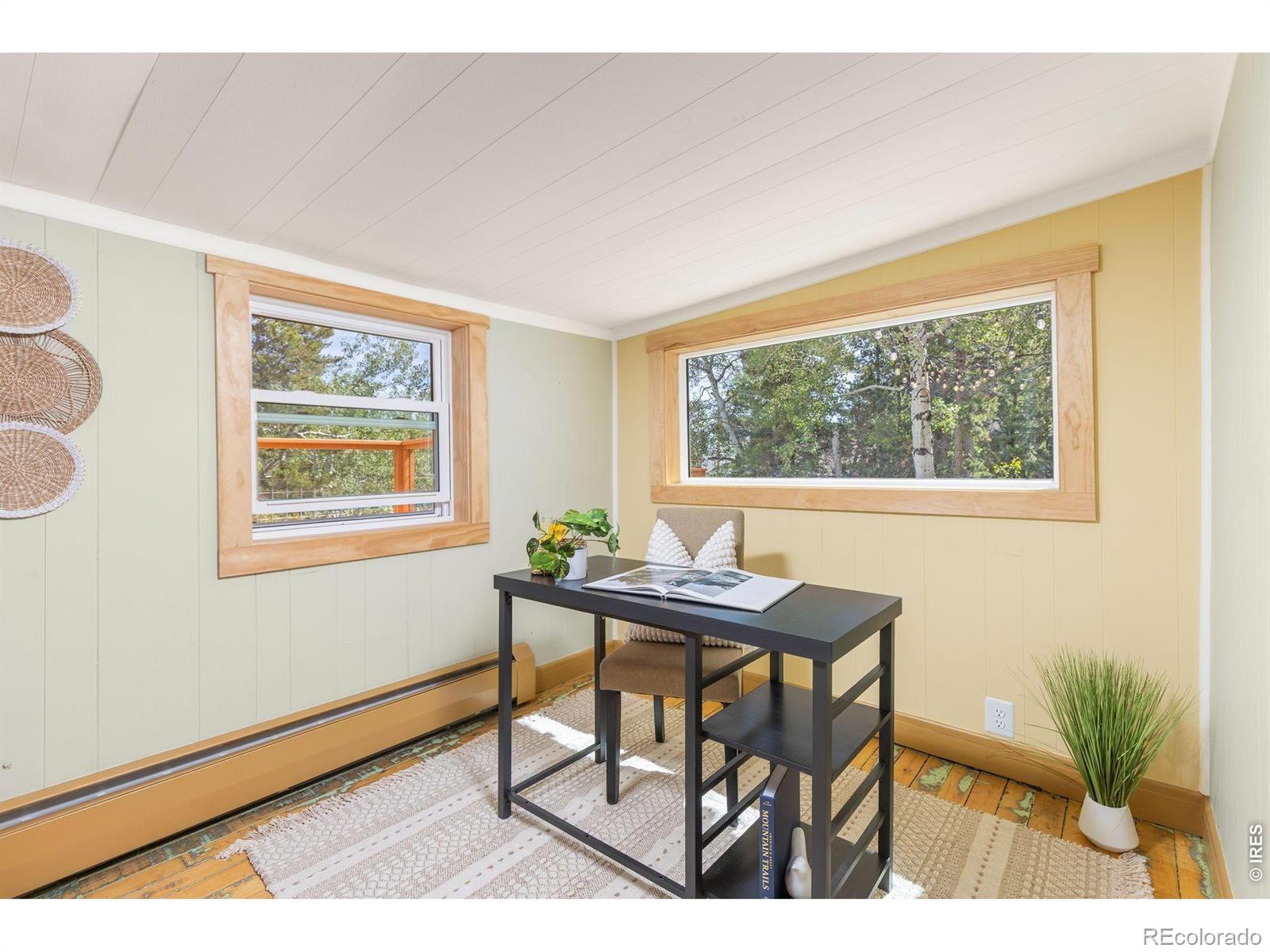 MLS Image #20 for 38 e pine street,nederland, Colorado