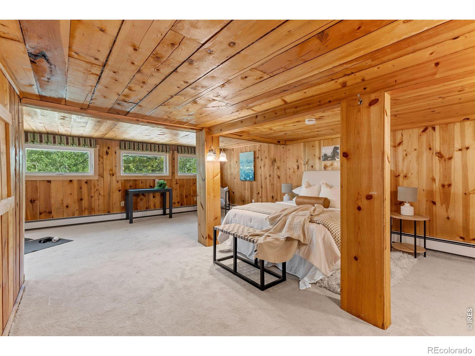 MLS Image #25 for 38 e pine street,nederland, Colorado