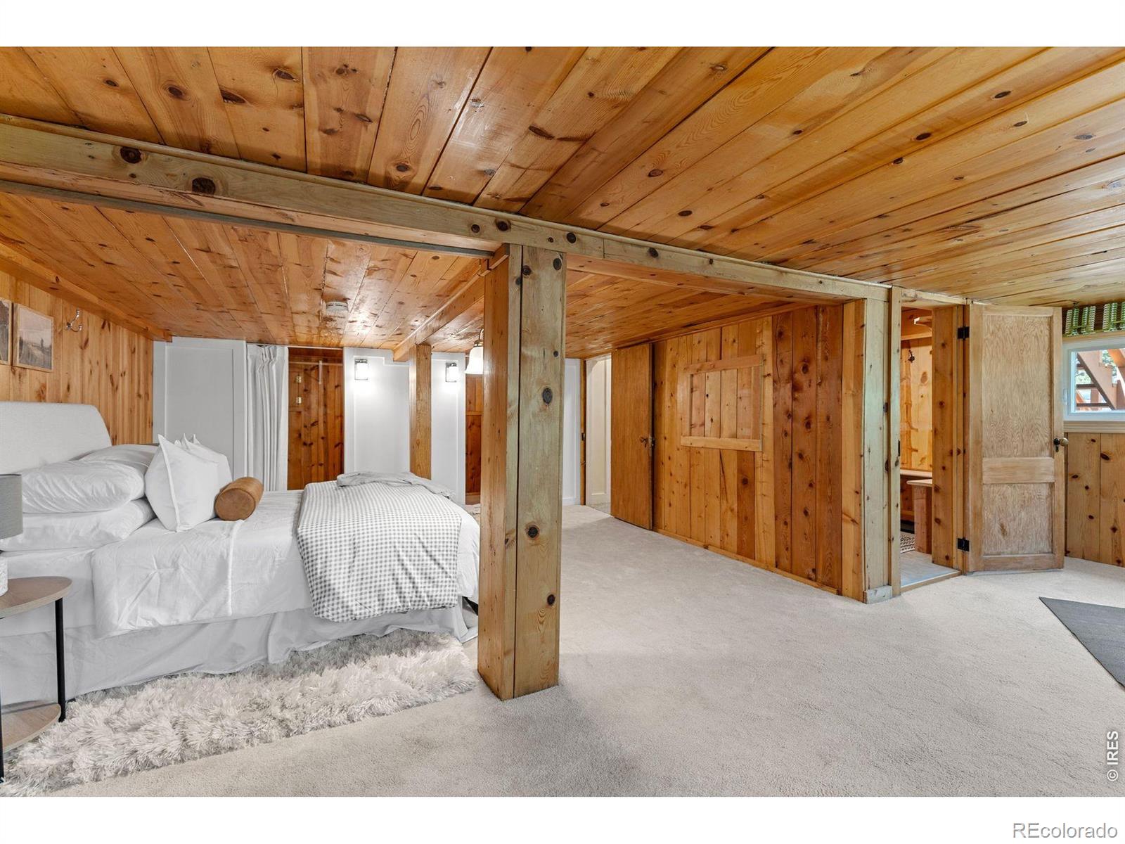 MLS Image #26 for 38 e pine street,nederland, Colorado