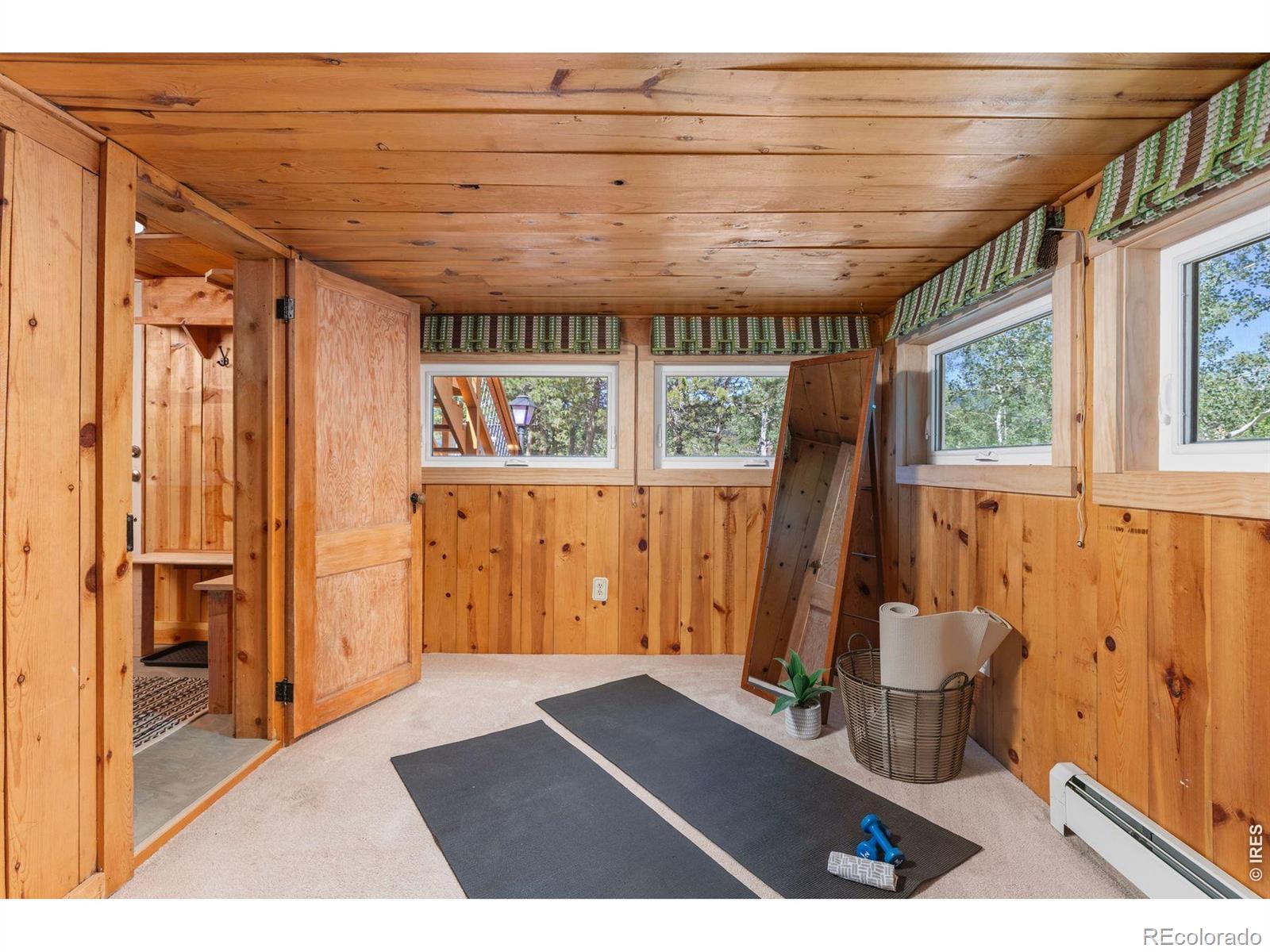 MLS Image #27 for 38 e pine street,nederland, Colorado