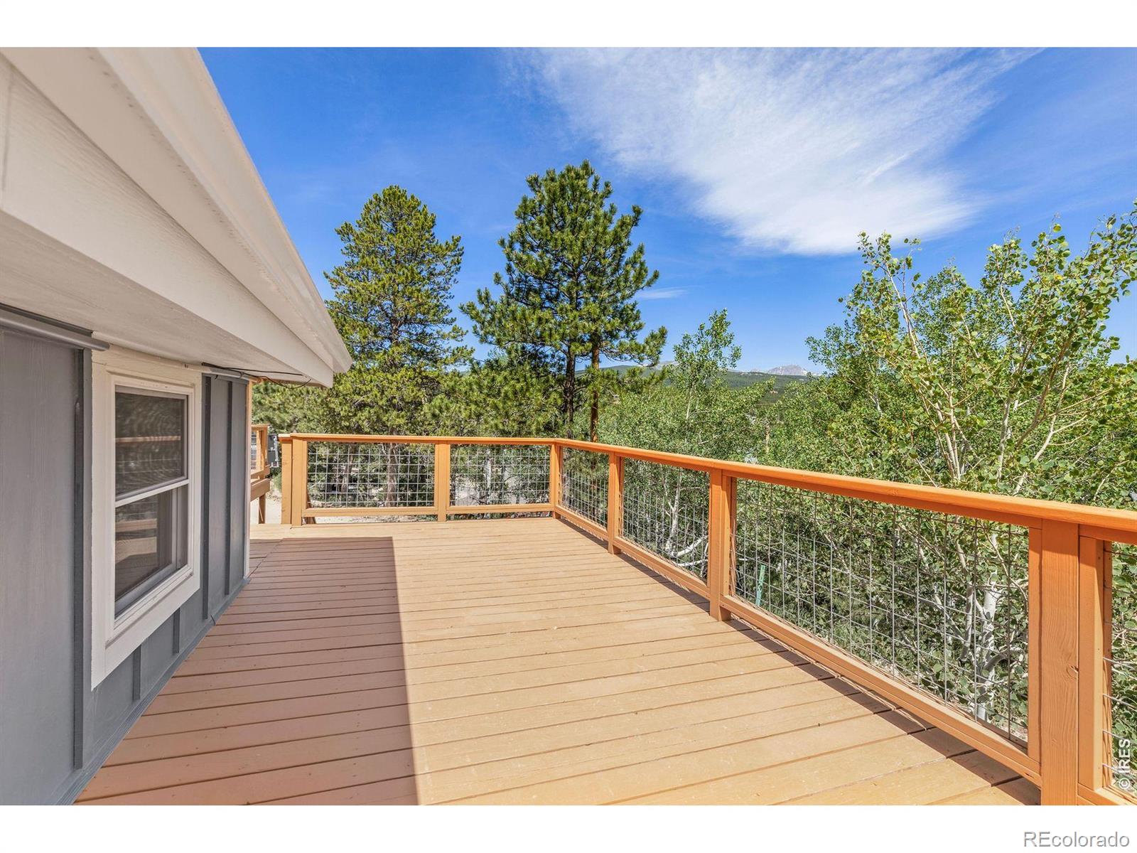MLS Image #3 for 38 e pine street,nederland, Colorado