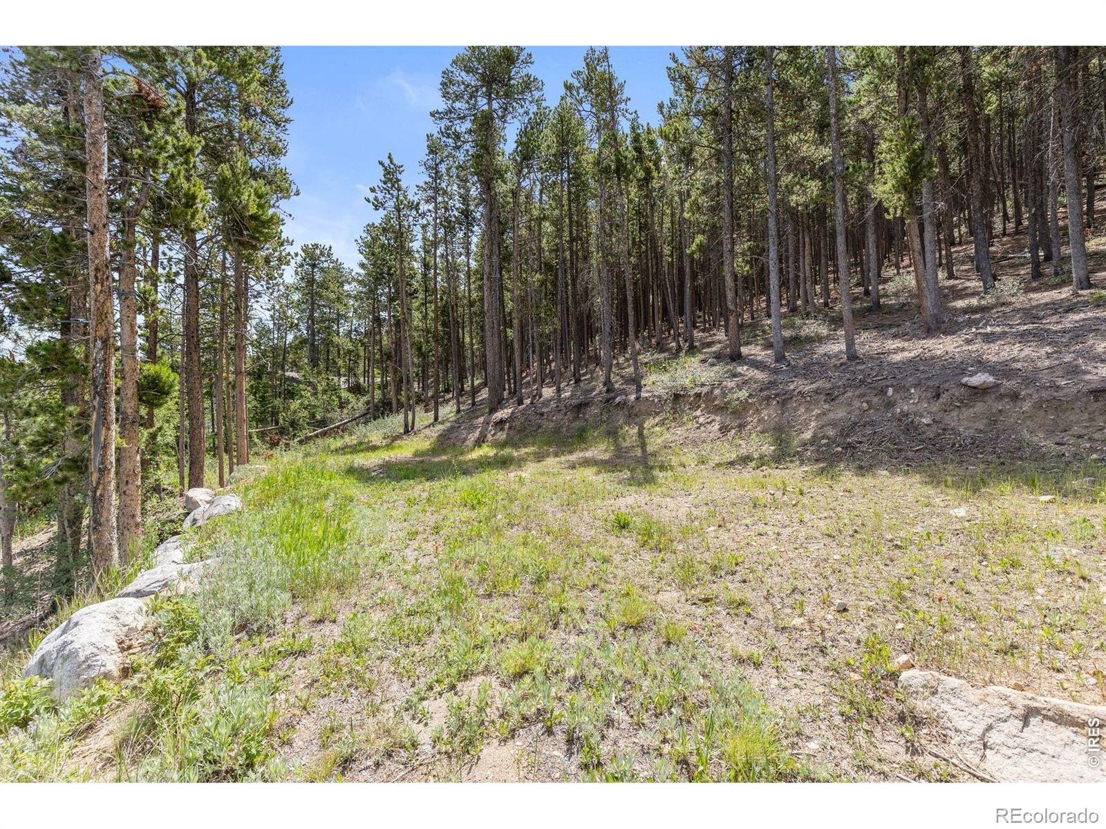 MLS Image #40 for 38 e pine street,nederland, Colorado