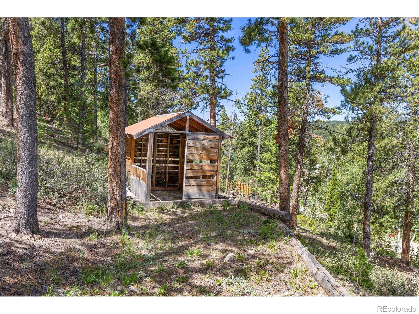 MLS Image #41 for 38 e pine street,nederland, Colorado
