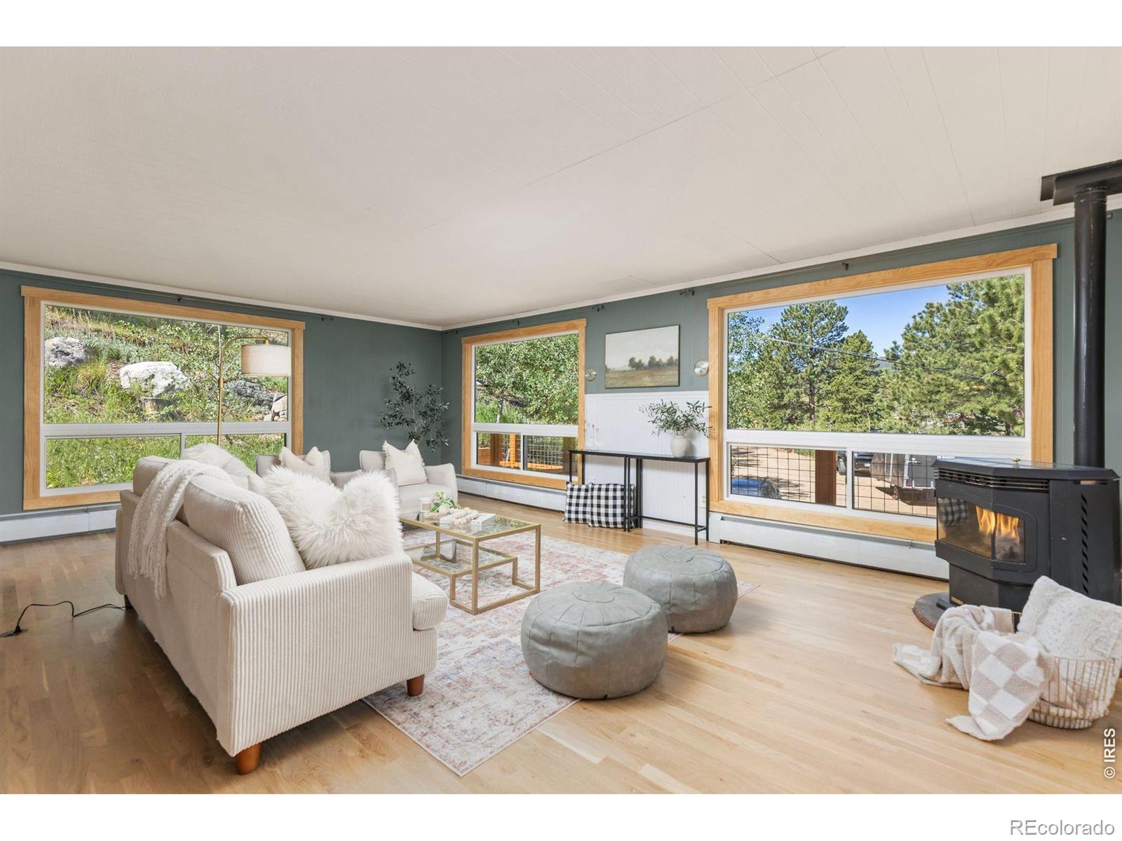 MLS Image #5 for 38 e pine street,nederland, Colorado