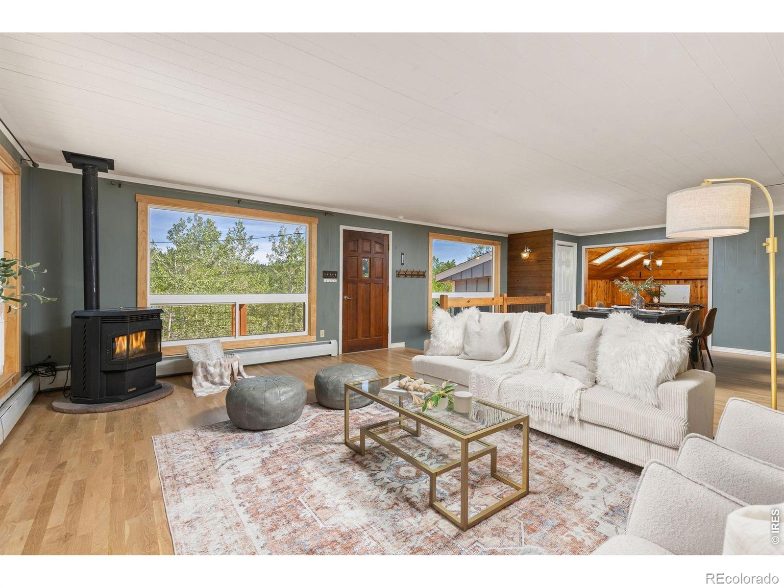 MLS Image #6 for 38 e pine street,nederland, Colorado