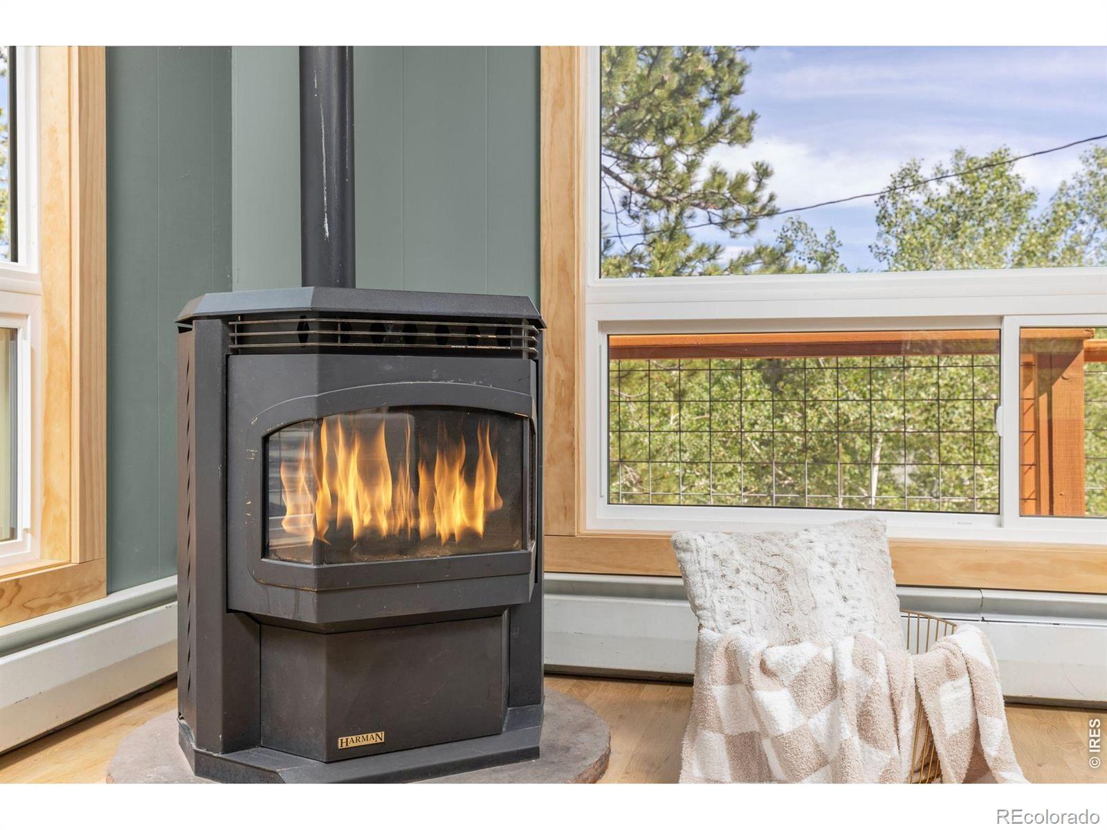 MLS Image #8 for 38 e pine street,nederland, Colorado