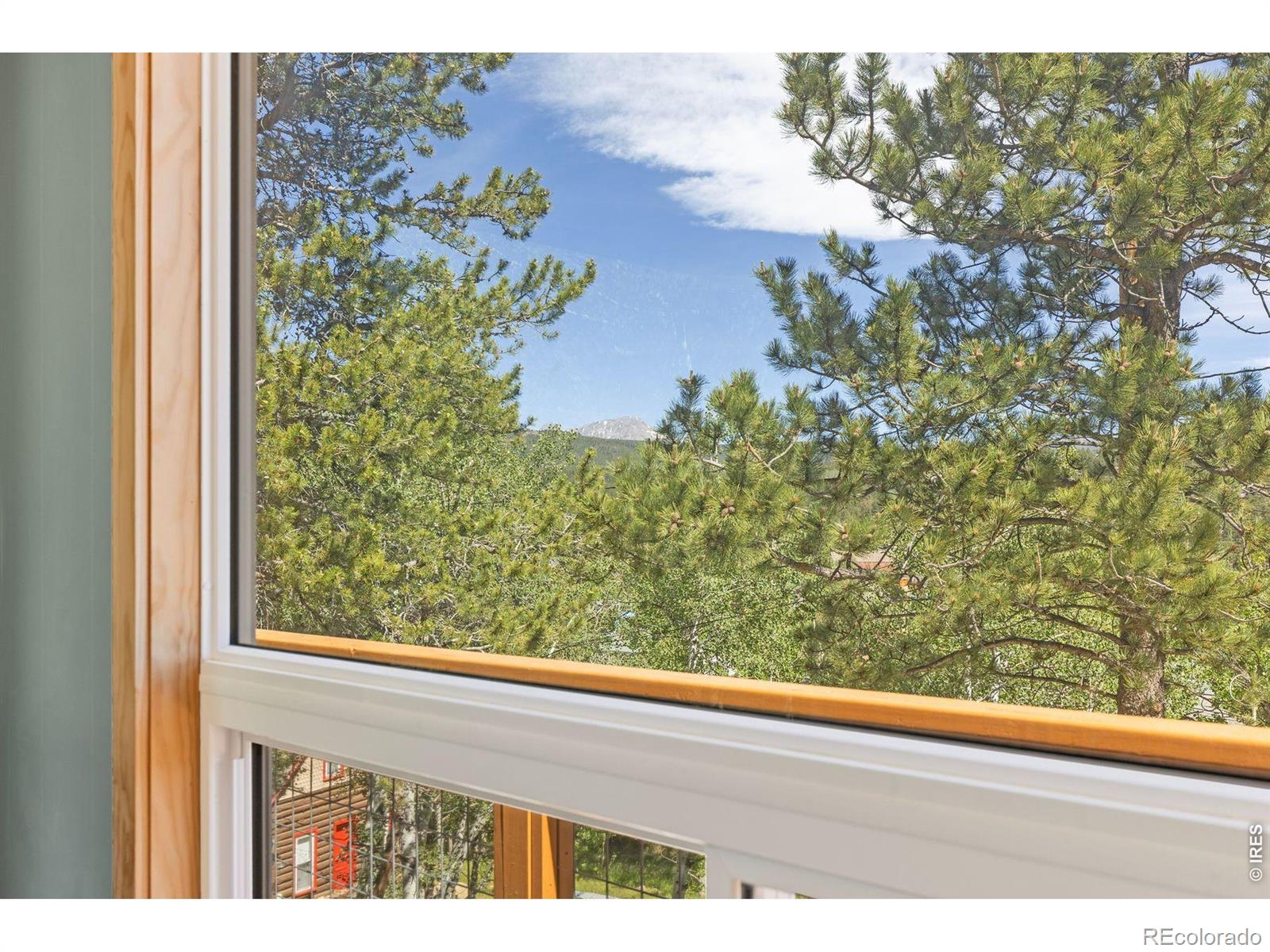 MLS Image #9 for 38 e pine street,nederland, Colorado