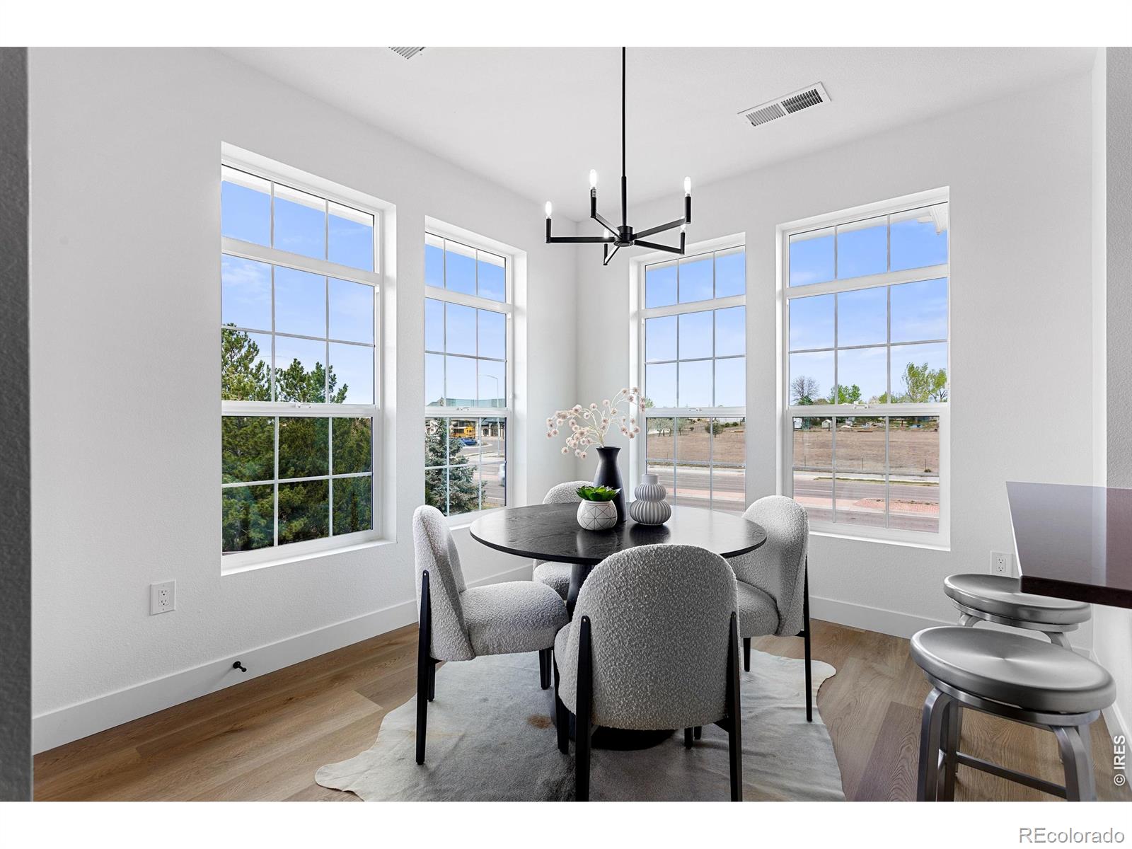 MLS Image #13 for 3409  molly circle,broomfield, Colorado