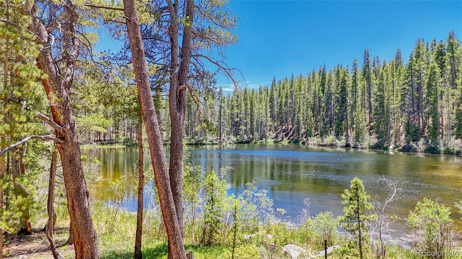 MLS Image #11 for 185  lotus lon drive,leadville, Colorado