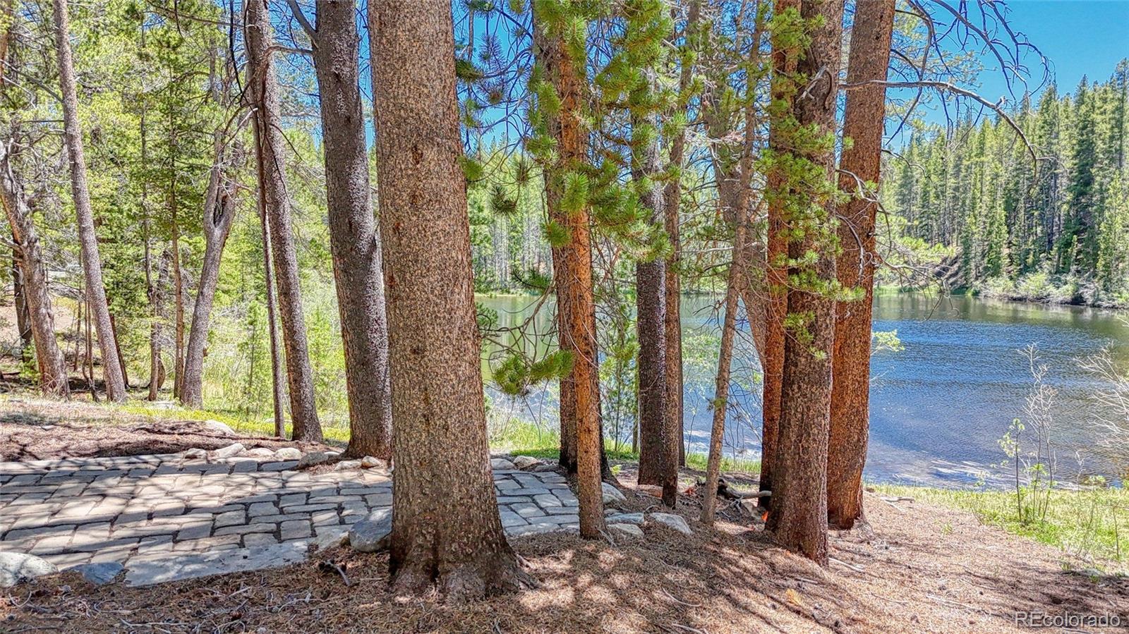 MLS Image #12 for 185  lotus lon drive,leadville, Colorado