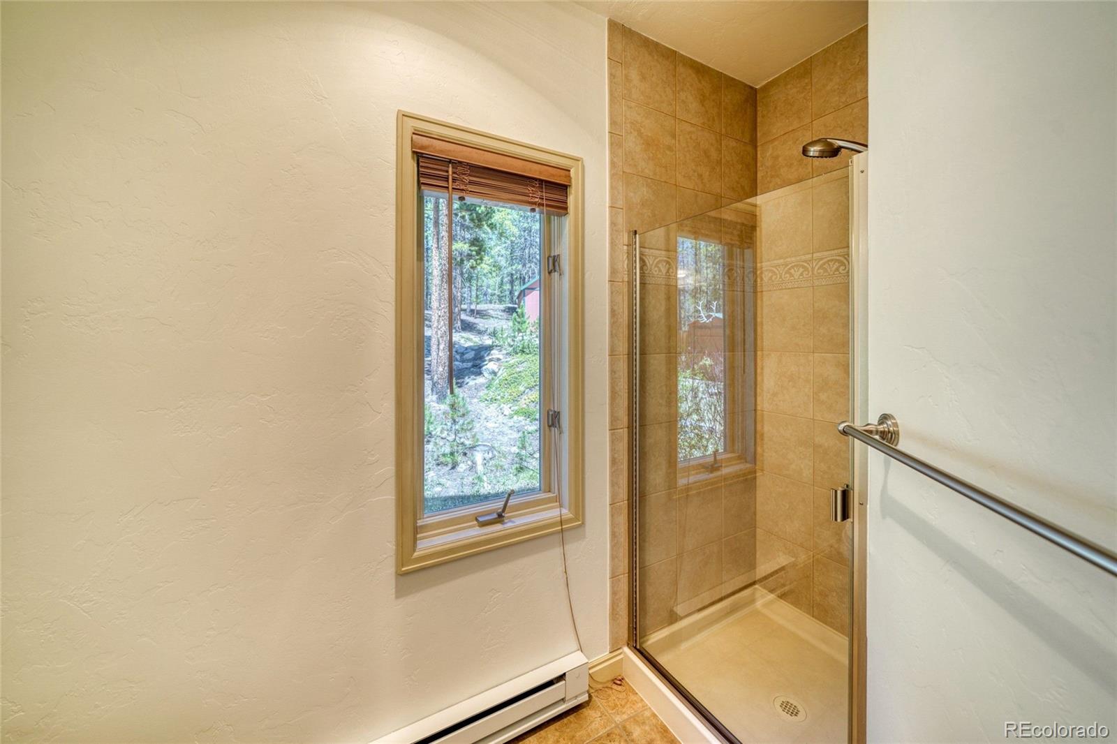MLS Image #17 for 185  lotus lon drive,leadville, Colorado