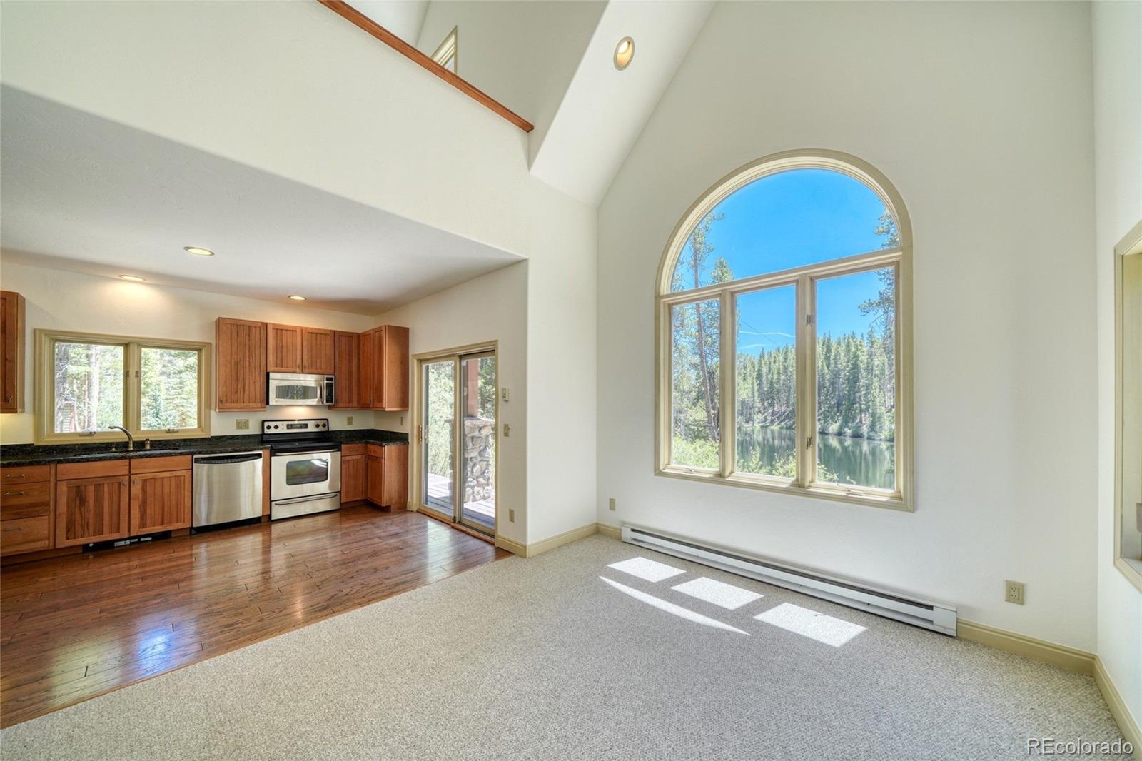 MLS Image #2 for 185  lotus lon drive,leadville, Colorado