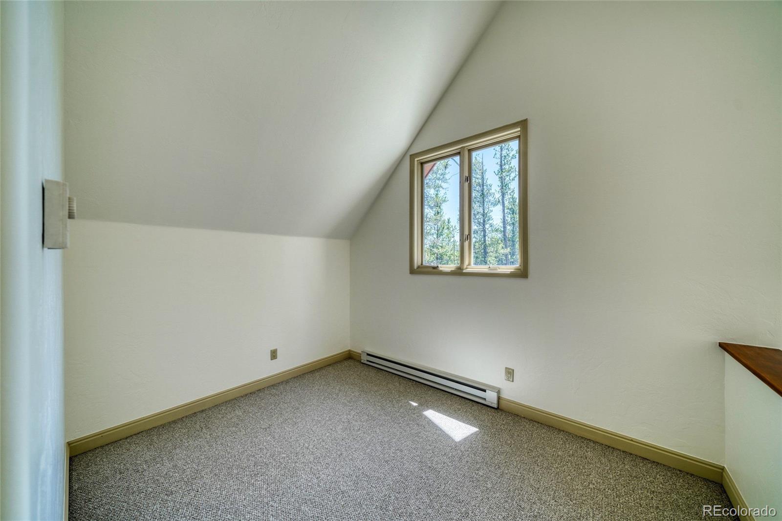 MLS Image #28 for 185  lotus lon drive,leadville, Colorado