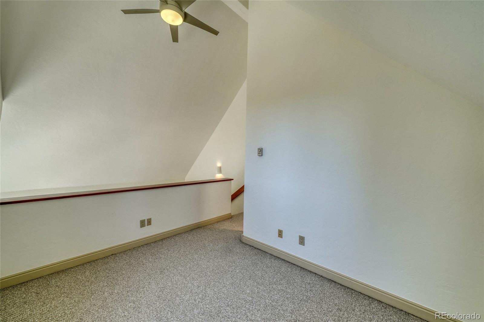 MLS Image #29 for 185  lotus lon drive,leadville, Colorado