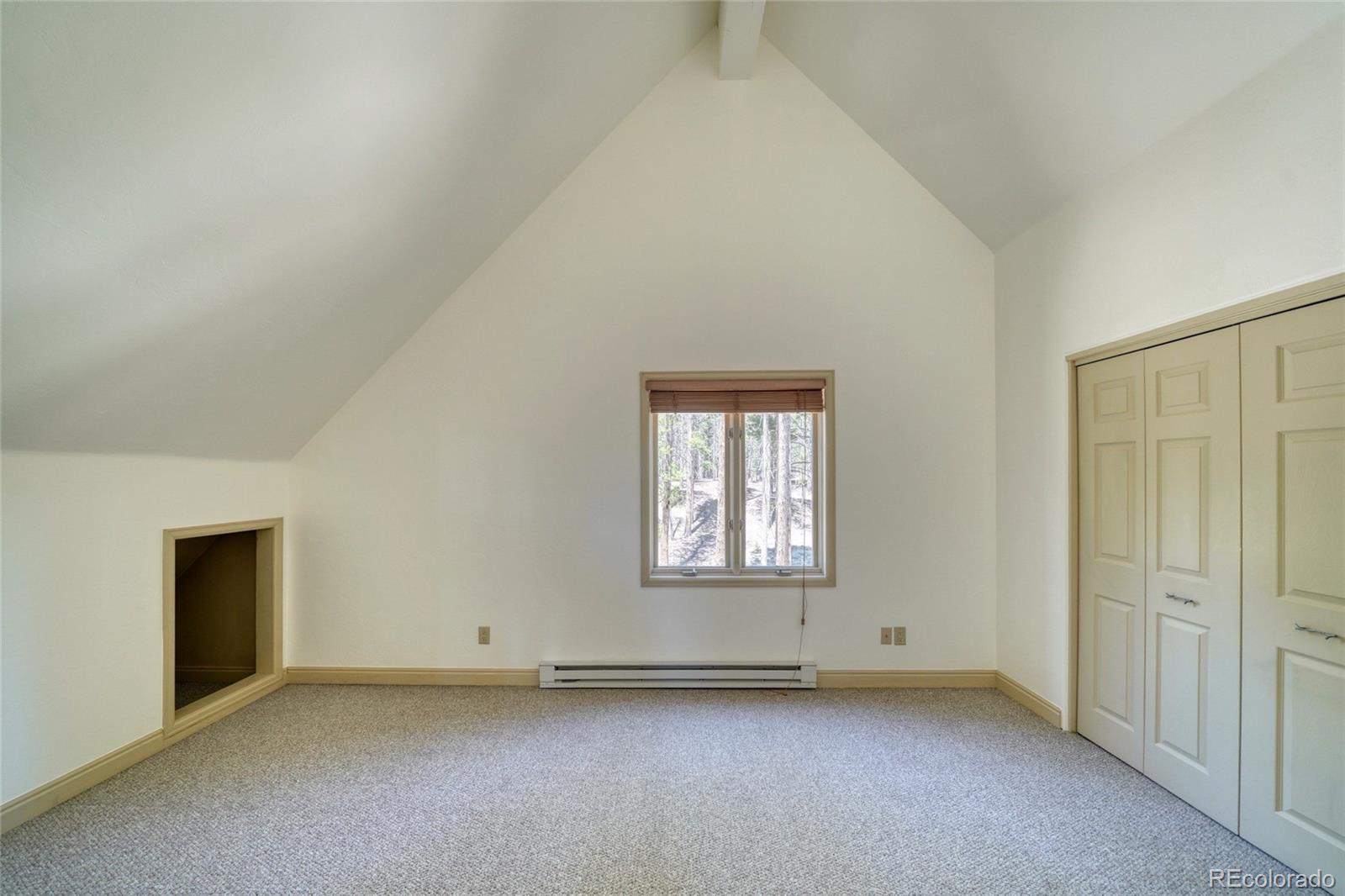 MLS Image #32 for 185  lotus lon drive,leadville, Colorado