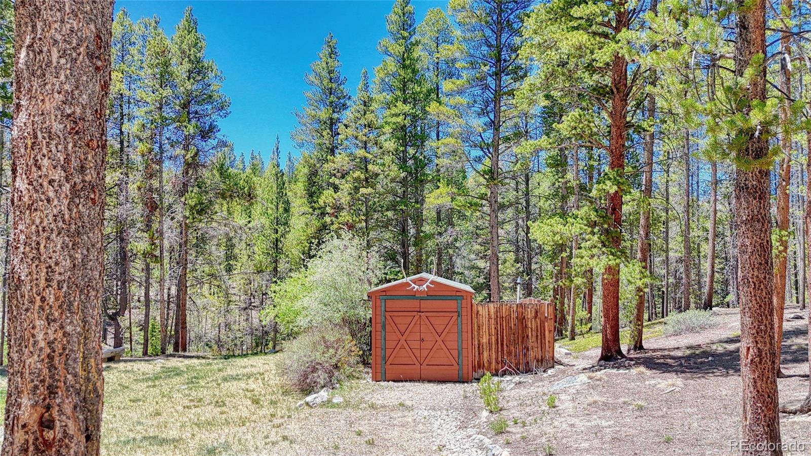 MLS Image #33 for 185  lotus lon drive,leadville, Colorado