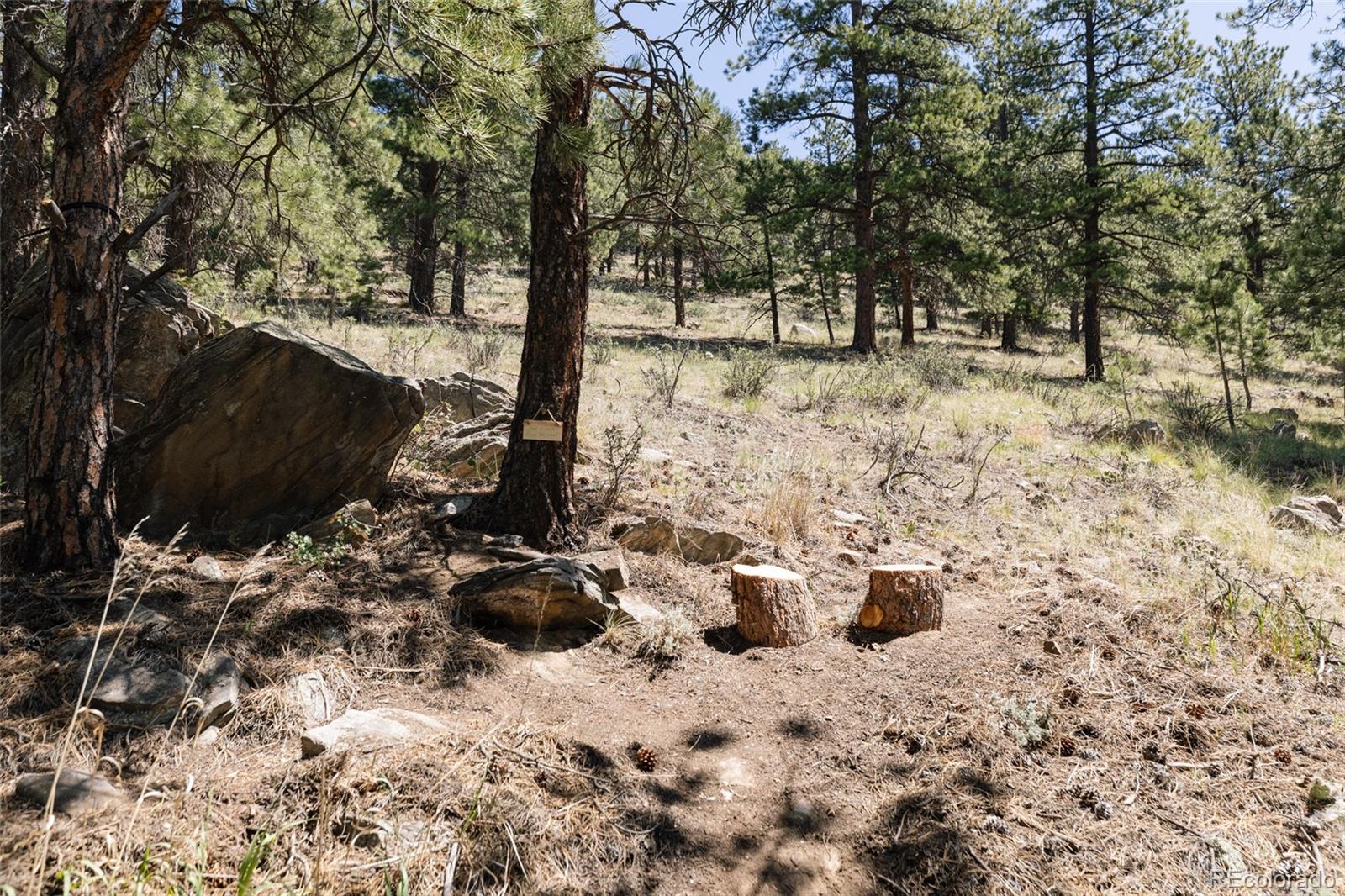MLS Image #26 for 1898  kerr gulch road,evergreen, Colorado