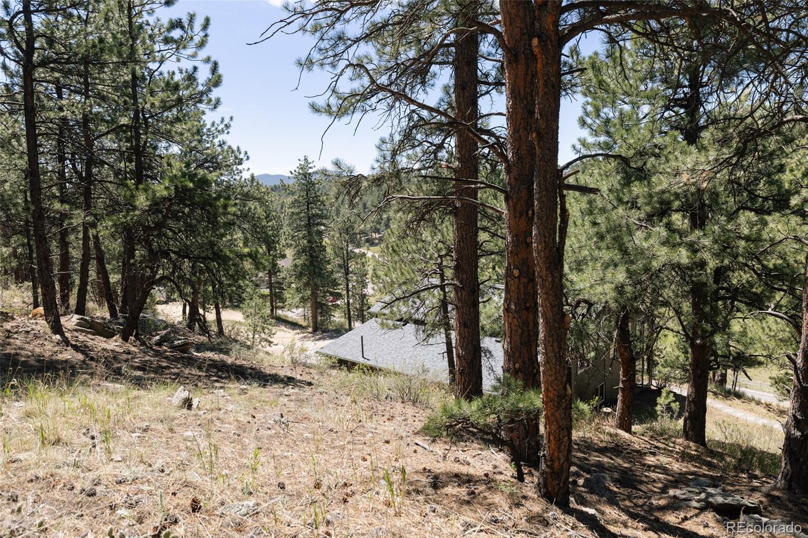 MLS Image #27 for 1898  kerr gulch road,evergreen, Colorado