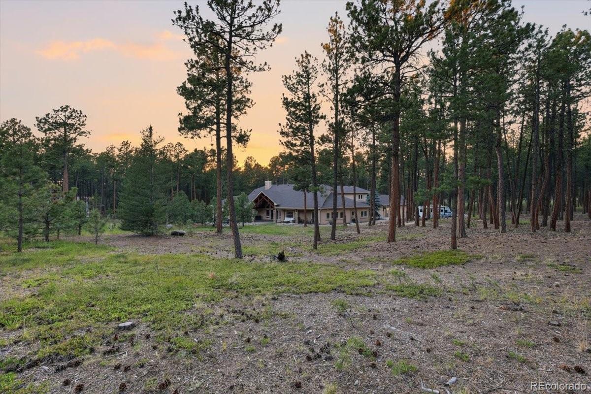 MLS Image #39 for 15575  winding trail road,colorado springs, Colorado