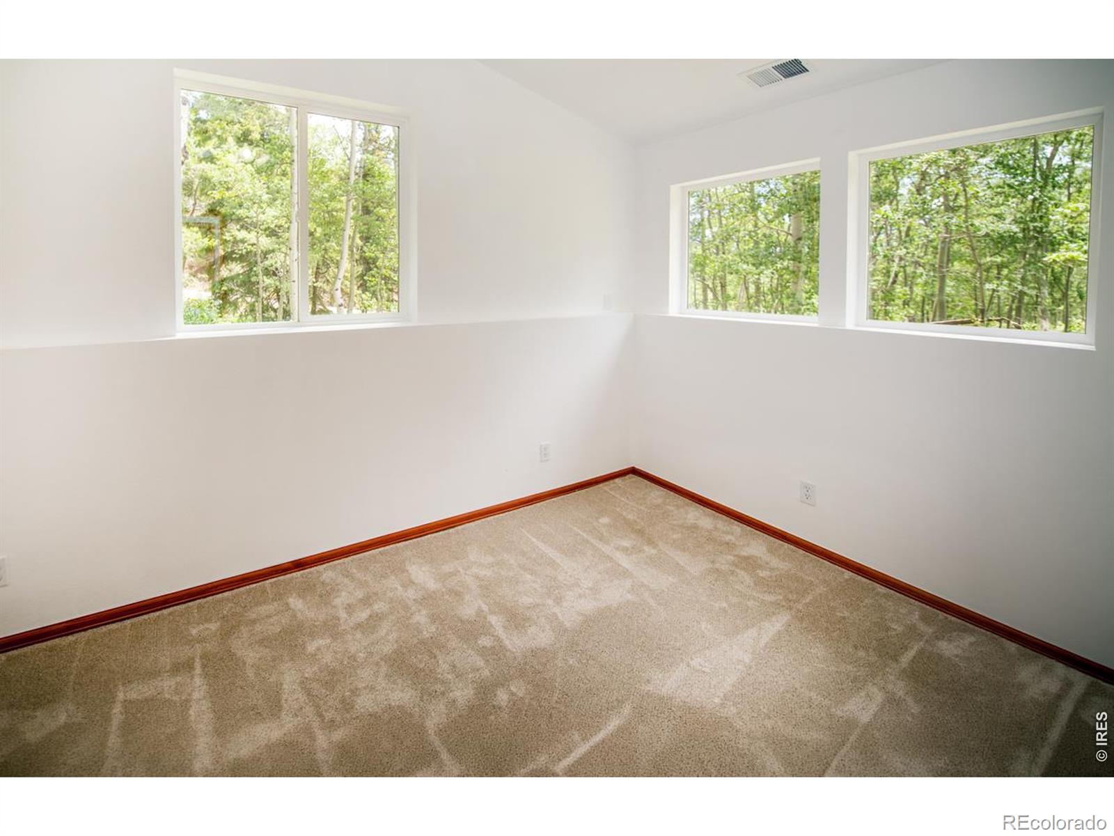 MLS Image #17 for 1221  hughesville road,black hawk, Colorado