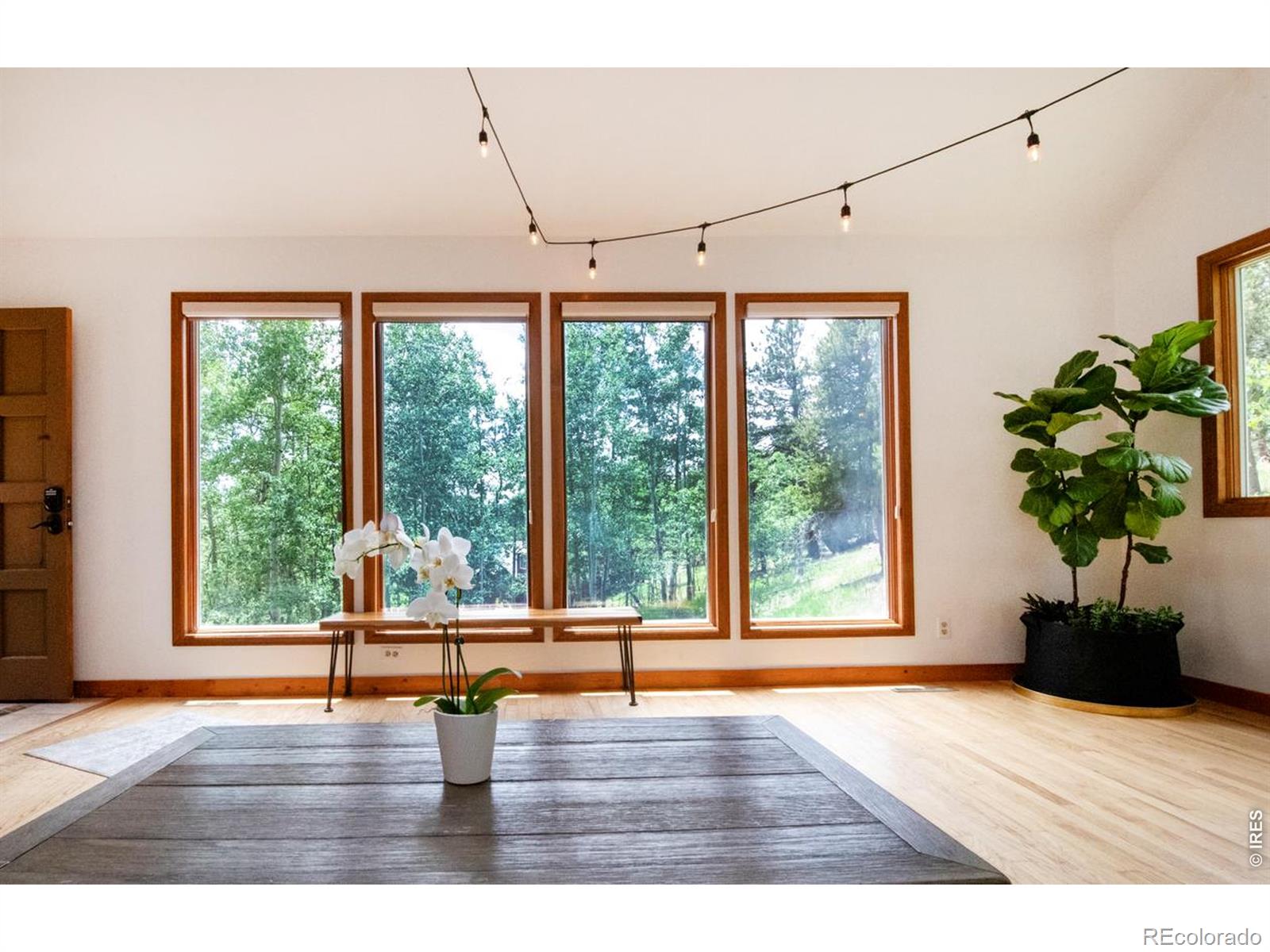MLS Image #7 for 1221  hughesville road,black hawk, Colorado