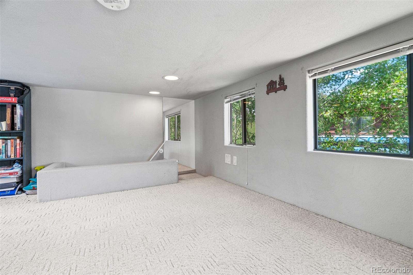 MLS Image #11 for 92  sunshine loop,fairplay, Colorado