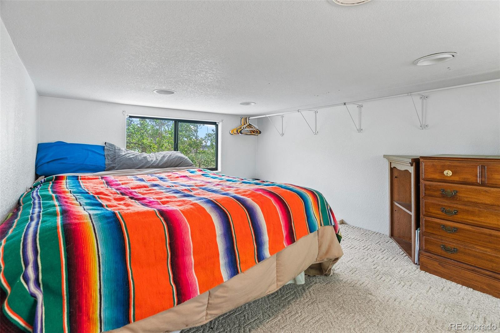 MLS Image #12 for 92  sunshine loop,fairplay, Colorado