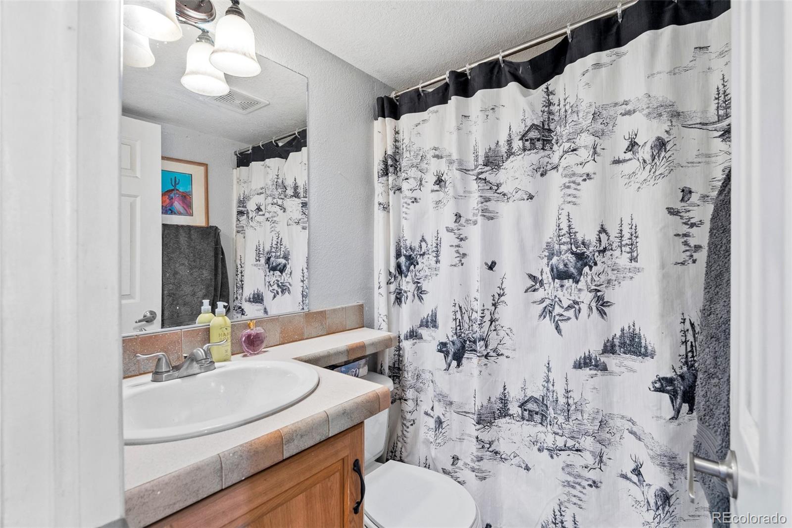 MLS Image #13 for 92  sunshine loop,fairplay, Colorado