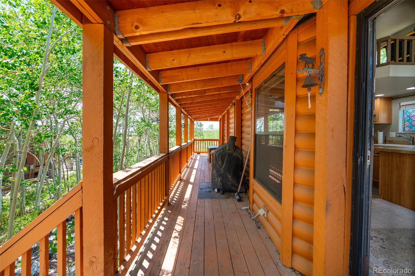 MLS Image #4 for 92  sunshine loop,fairplay, Colorado
