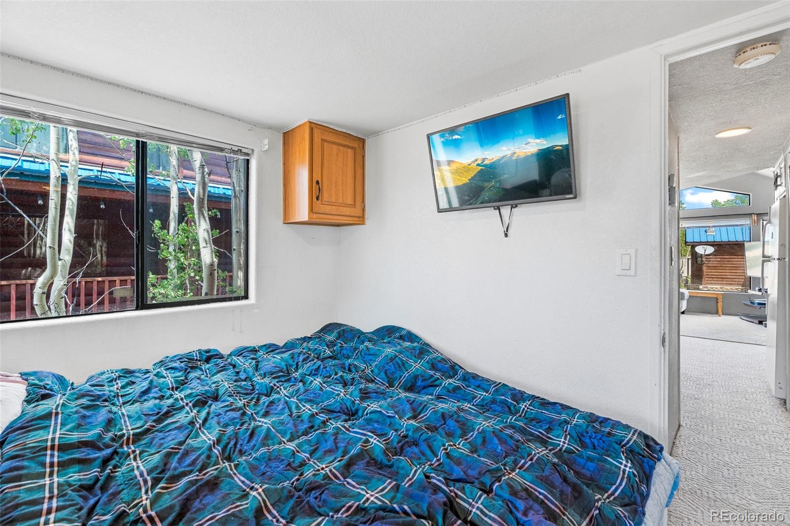 MLS Image #9 for 92  sunshine loop,fairplay, Colorado