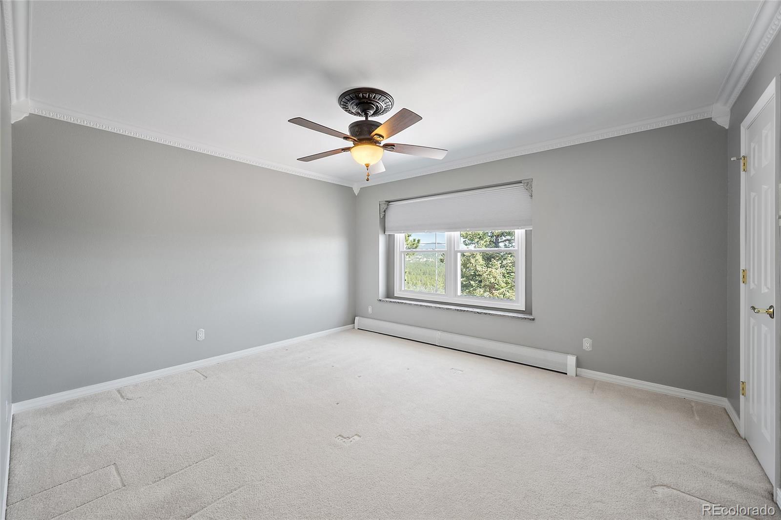 MLS Image #29 for 8475  red spring valley road,colorado springs, Colorado